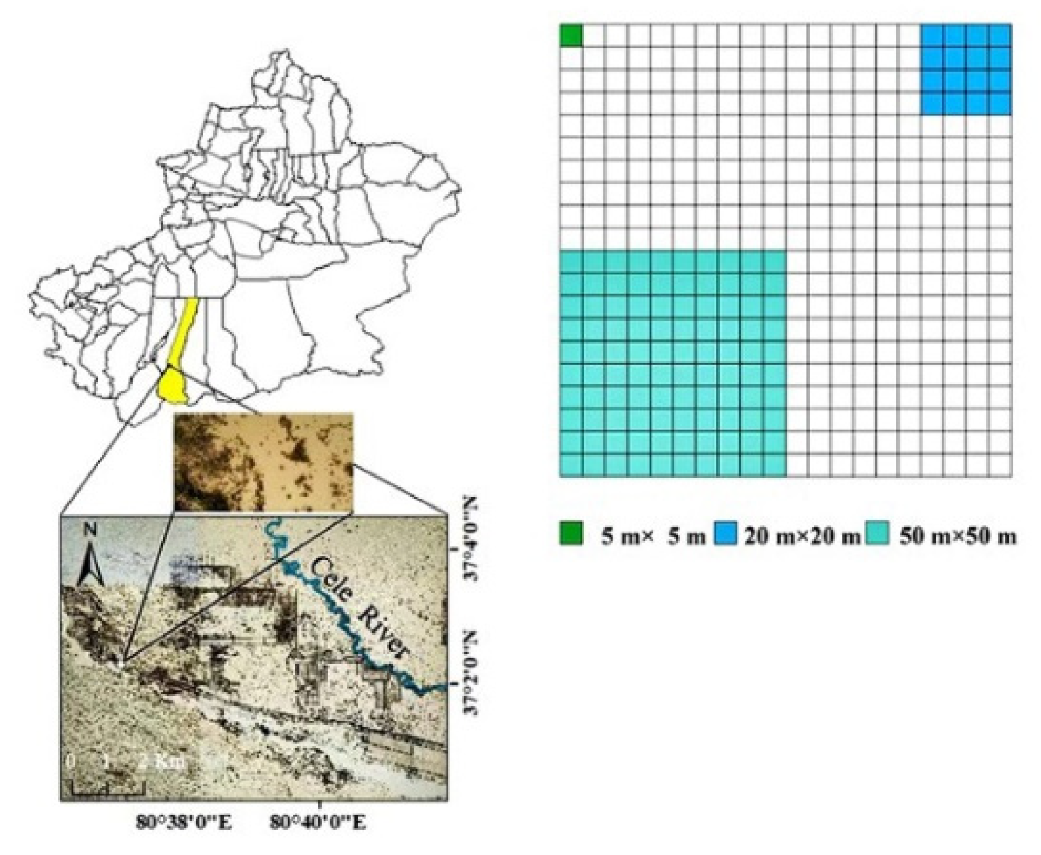 Forests 13 01505 g001