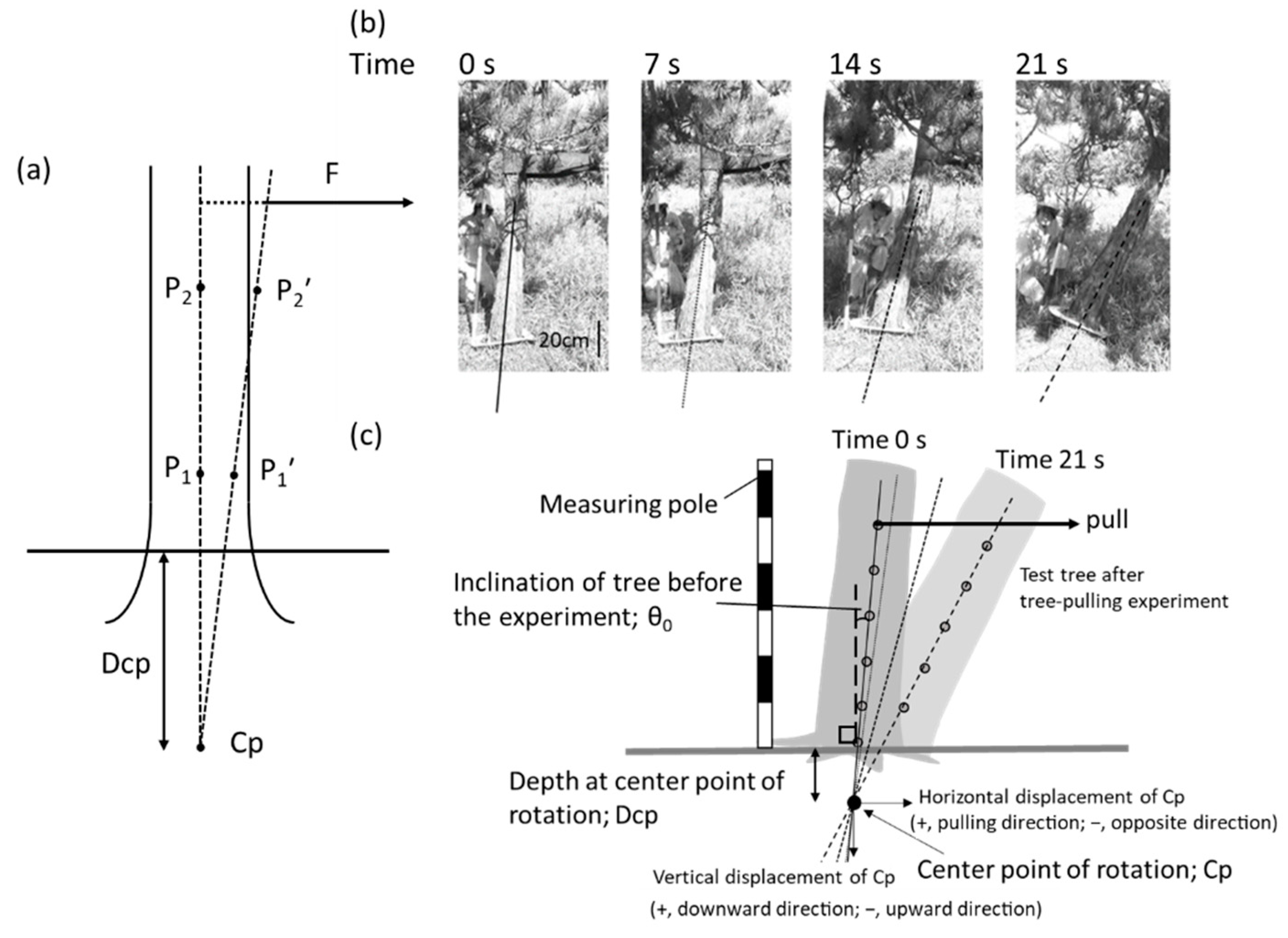Forests 13 01506 g001 Forests 13 01506 g001