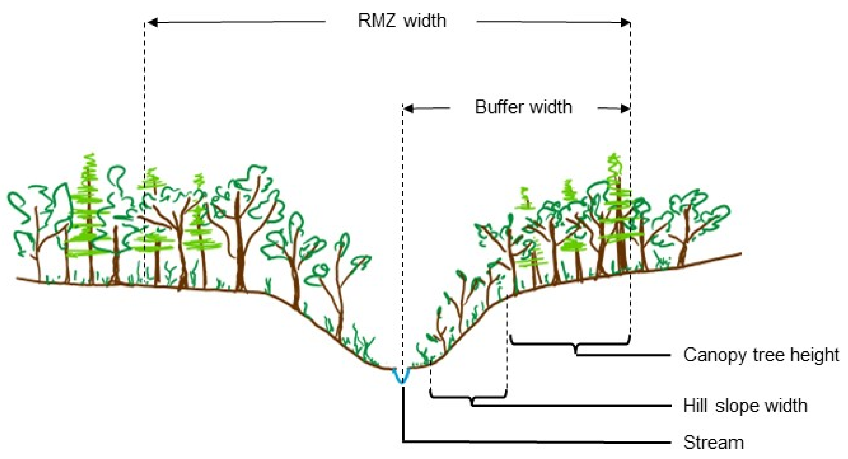 Forests 13 01509 g003 550