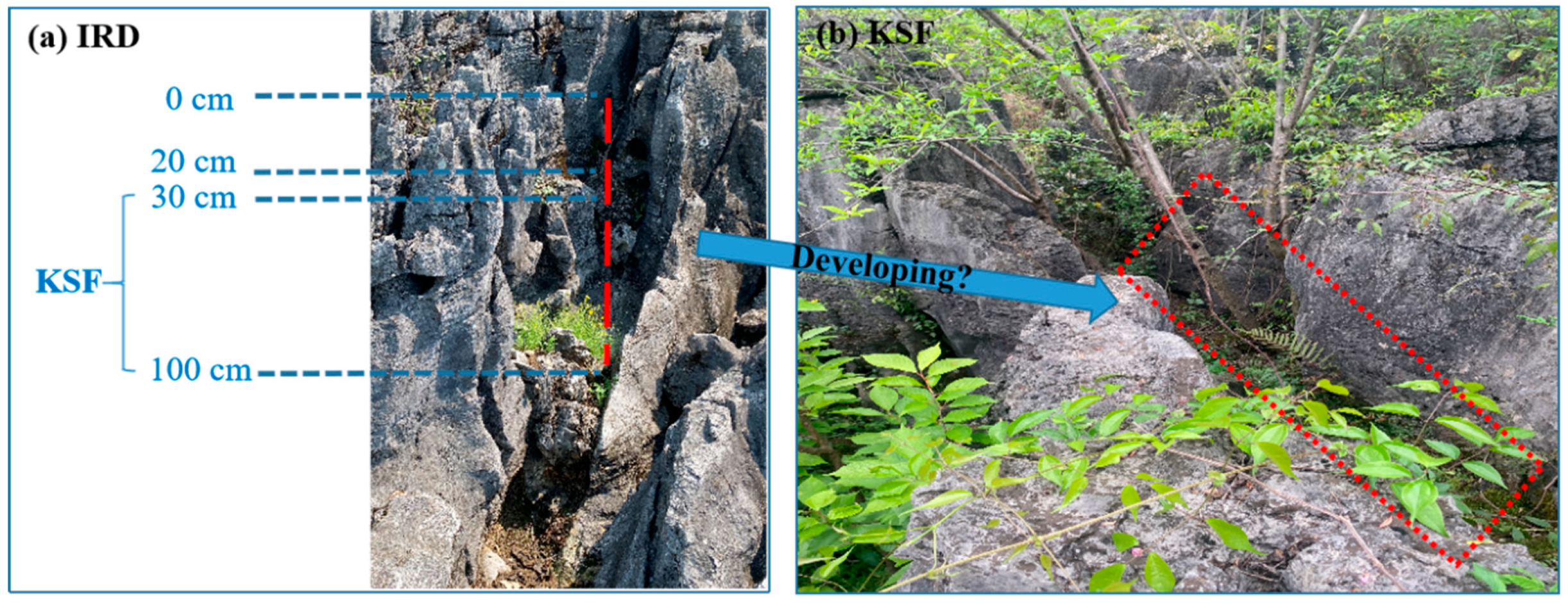 Forests 13 01513 g008 Forests 13 01513 g008