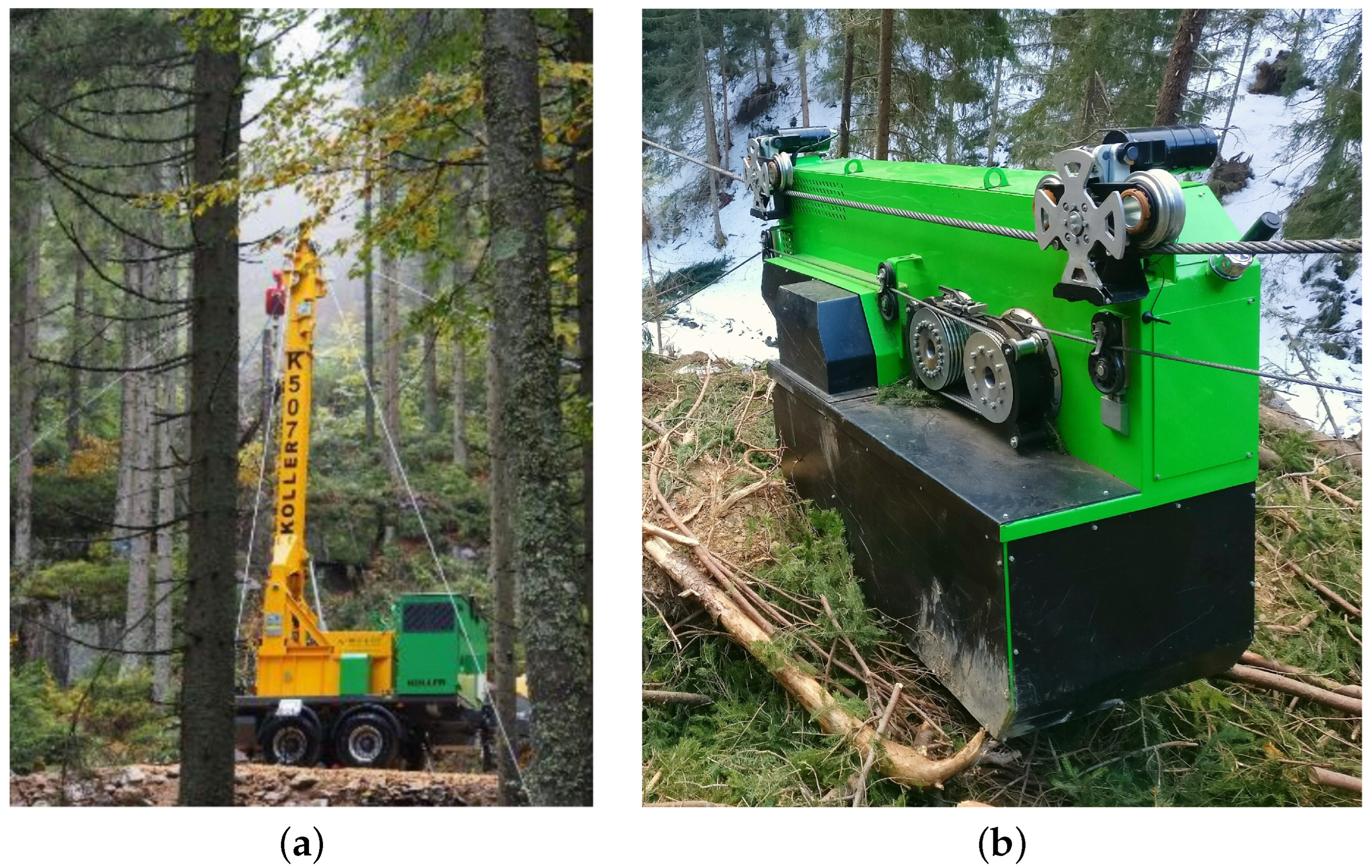 Forests 13 01520 g001 Forests 13 01520 g001