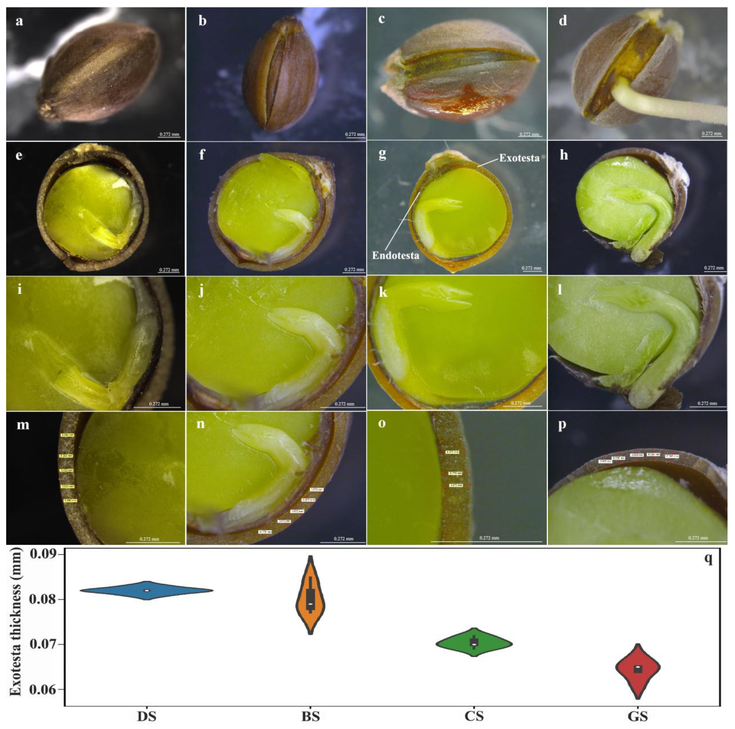 Forests 13 01521 g003 Forests 13 01521 g003