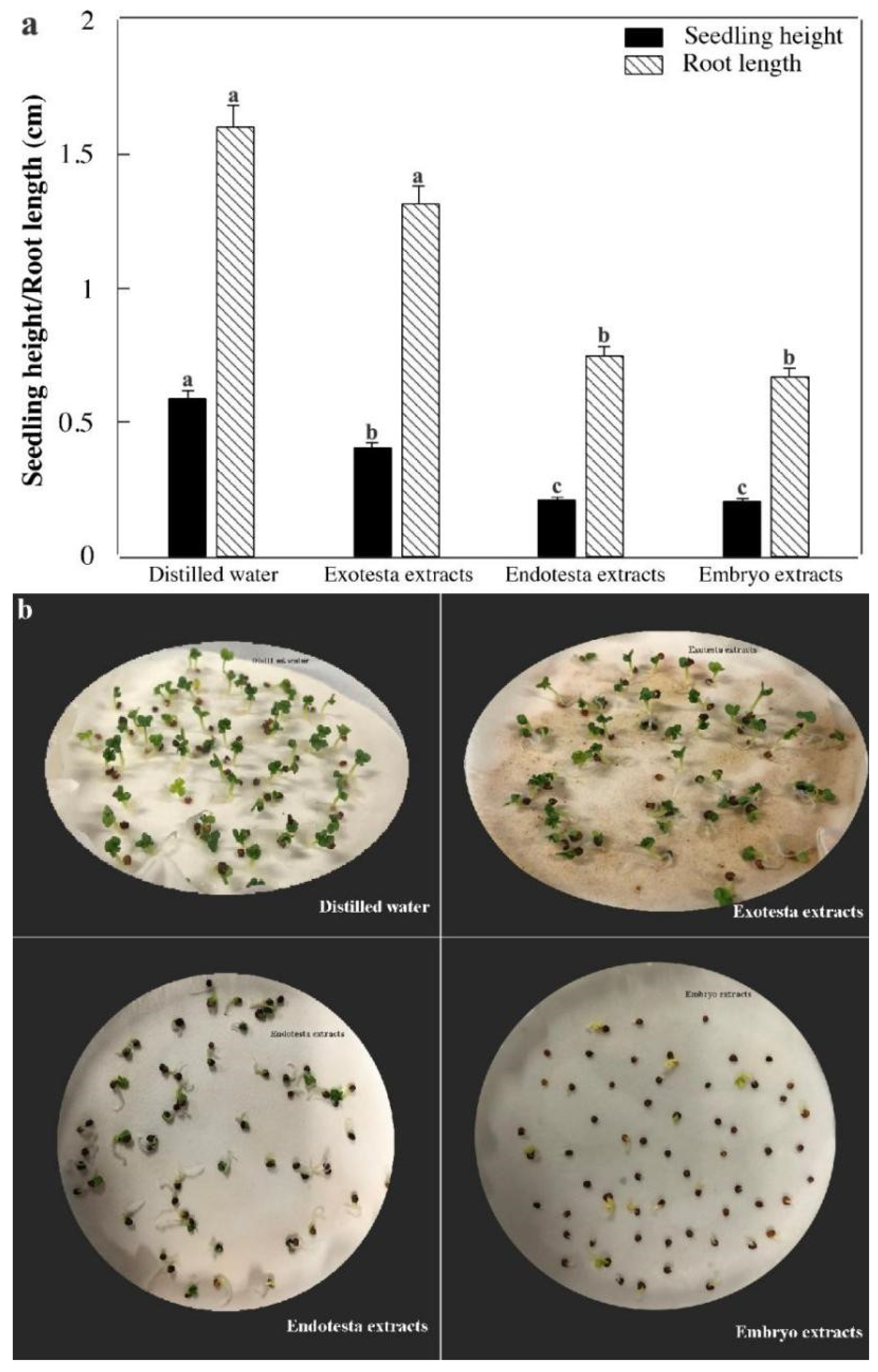 Forests 13 01521 g008 Forests 13 01521 g008