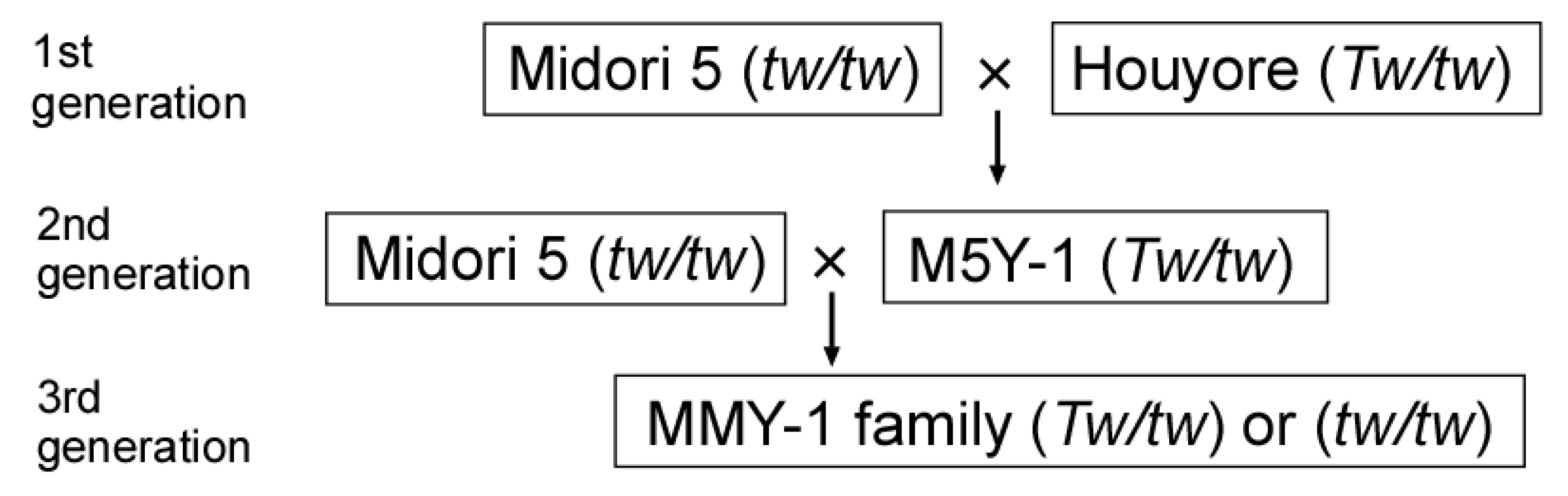 Forests 13 01524 g002 Forests 13 01524 g002
