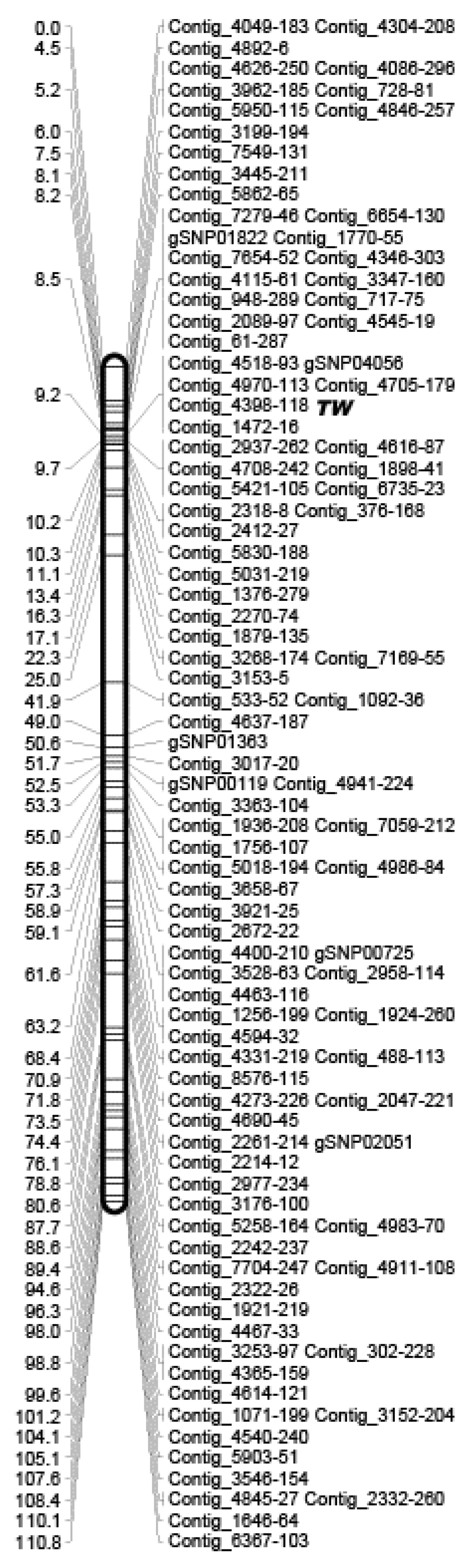 Localization of TWISTED NEEDLES Locus on Linkage Map of Localization of TWISTED NEEDLES Locus on Linkage Map of