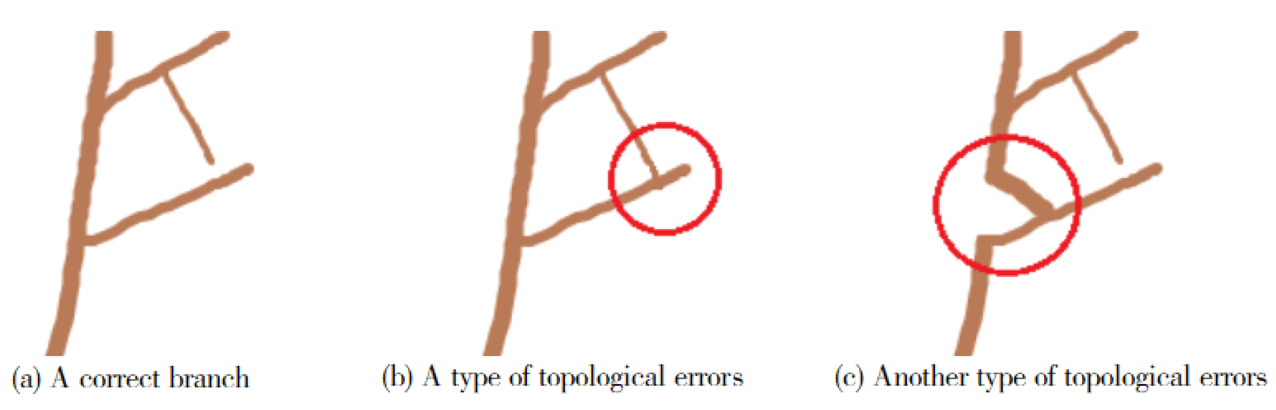Forests 13 01534 g002