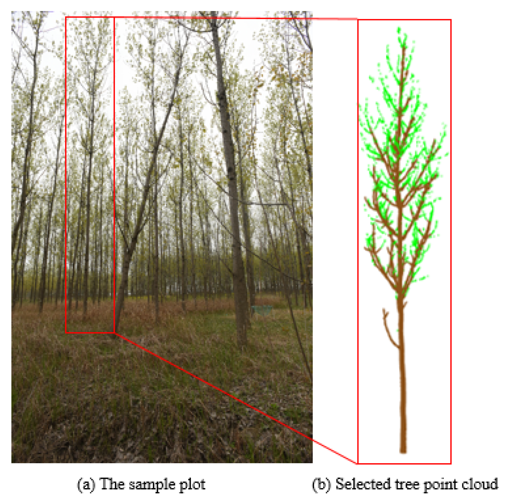 Forests 13 01534 g003