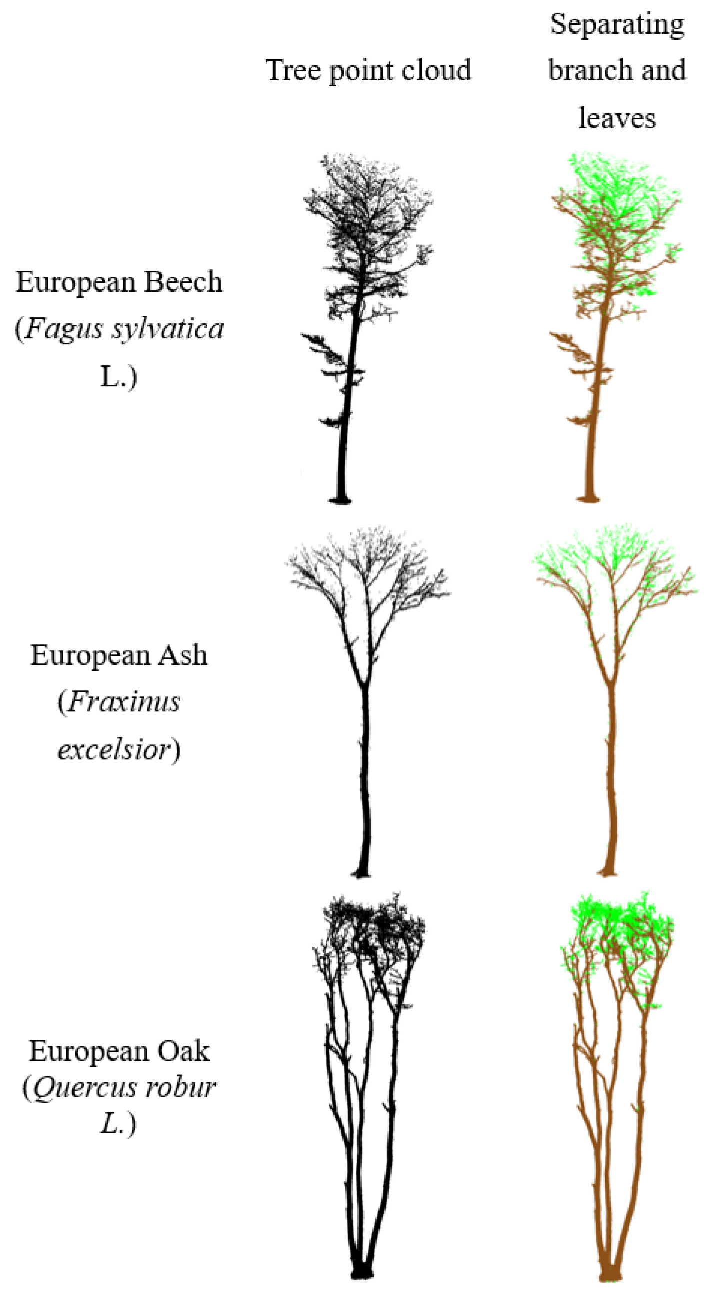 Forests 13 01534 g004