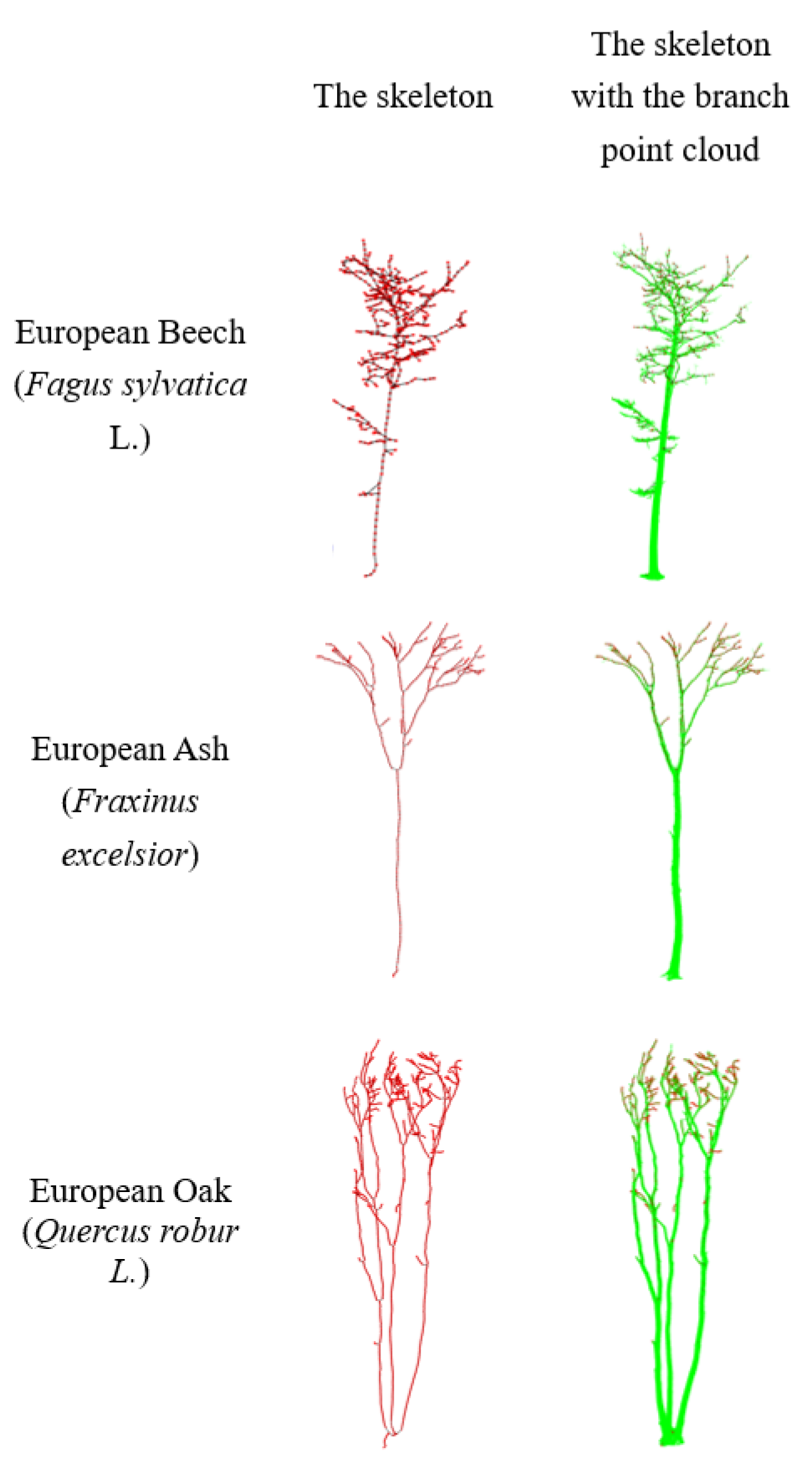 Forests 13 01534 g009
