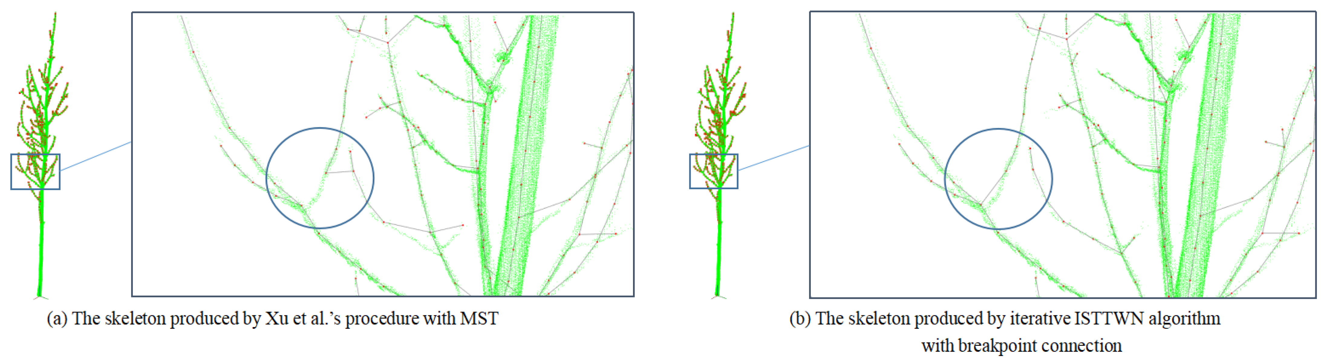 Forests 13 01534 g011