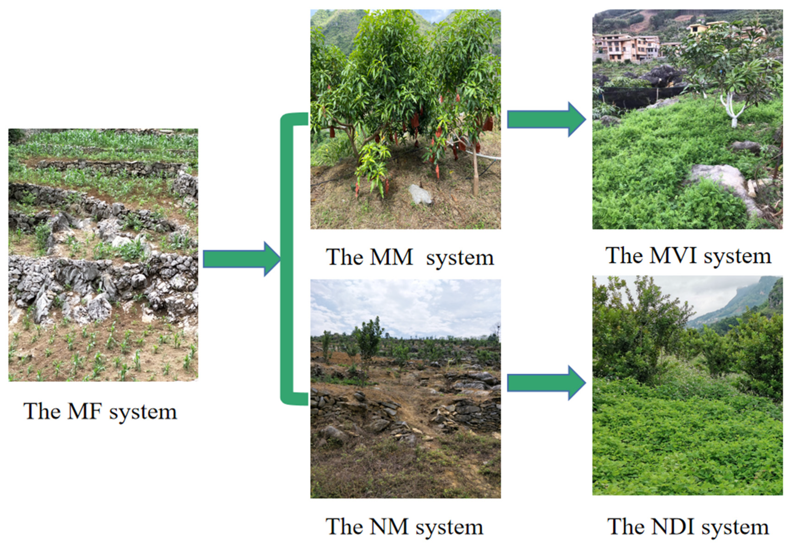 Forests 13 01536 g002 550