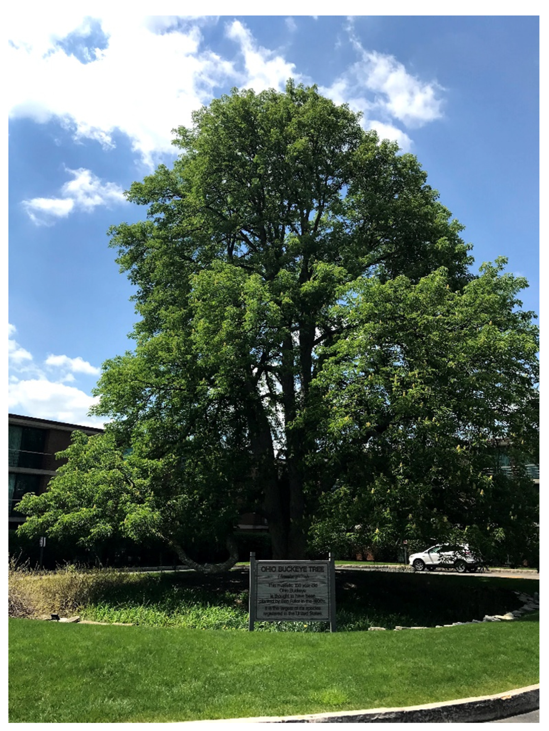 Forests 13 01537 g001