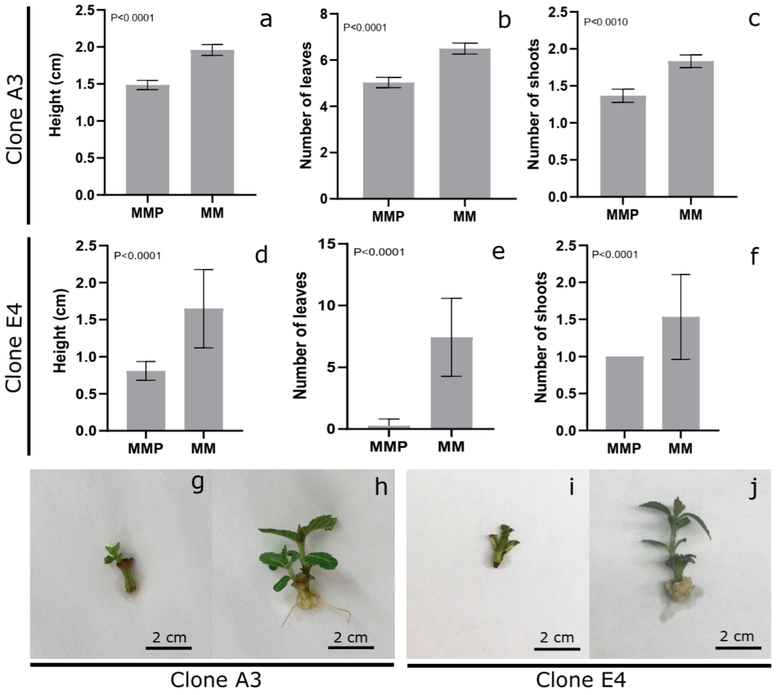 Forests 13 01539 g001 Forests 13 01539 g001