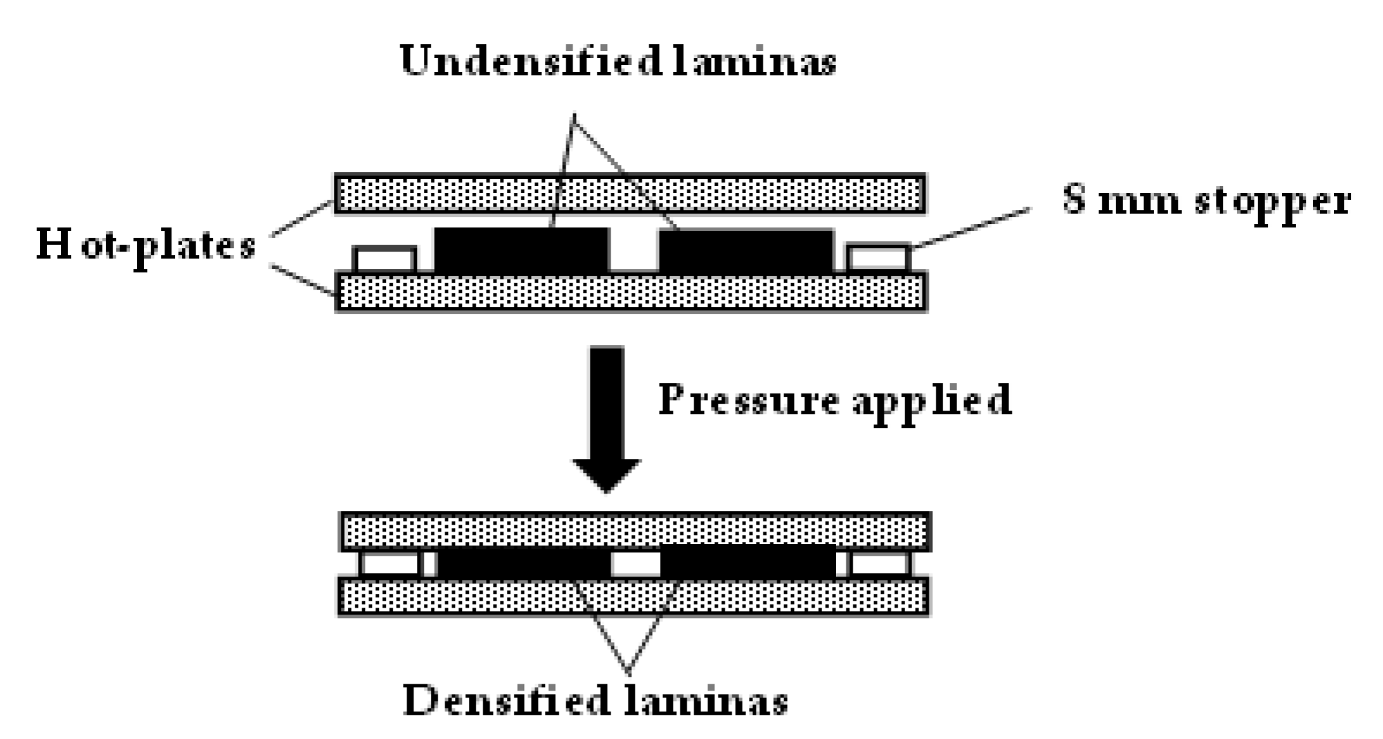 Forests 13 01540 g001 Forests 13 01540 g001