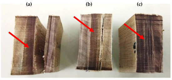 Bending, Compression and Bonding Performance of Cross-Laminated Timber  (CLT) Made from Malaysian Fast-Growing Timbers