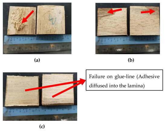 Bending, Compression and Bonding Performance of Cross-Laminated Timber  (CLT) Made from Malaysian Fast-Growing Timbers