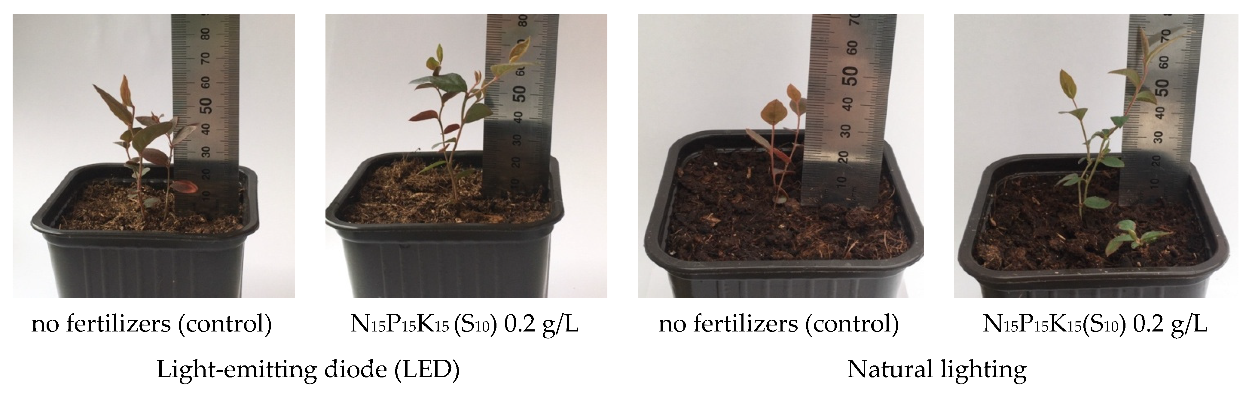 Forests 13 01550 g002 550