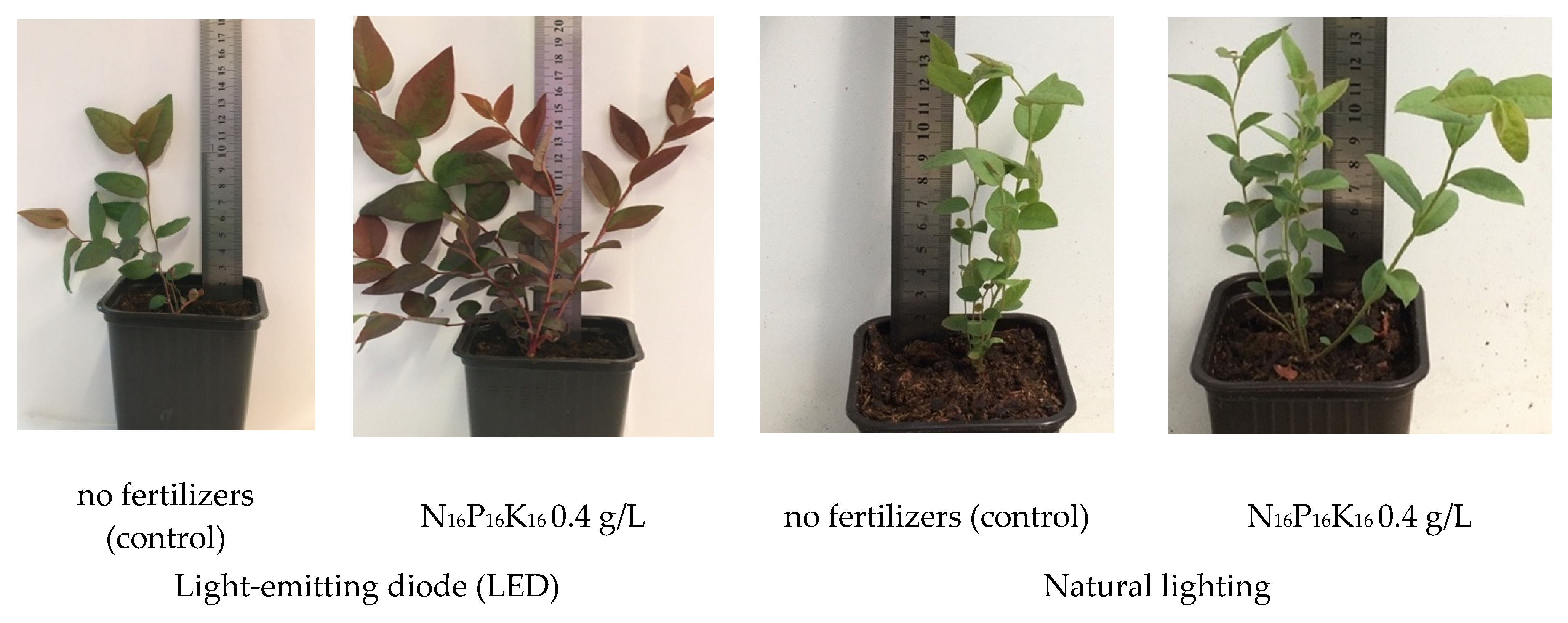 Forests 13 01550 g003 550