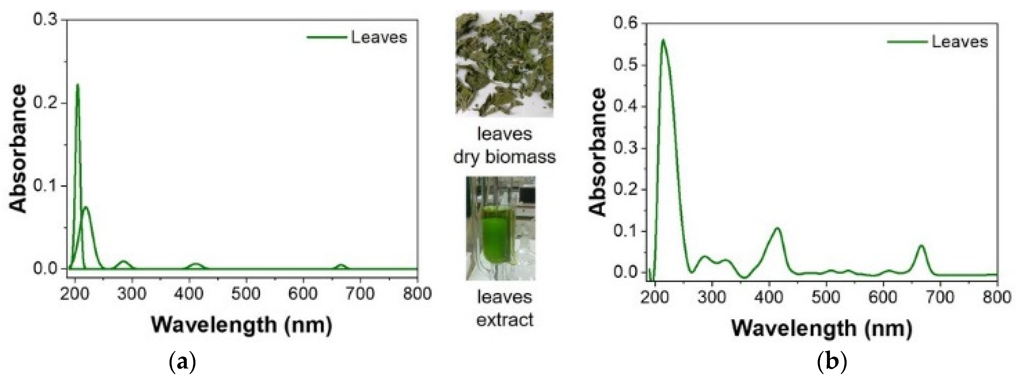 Forests 13 01555 g006