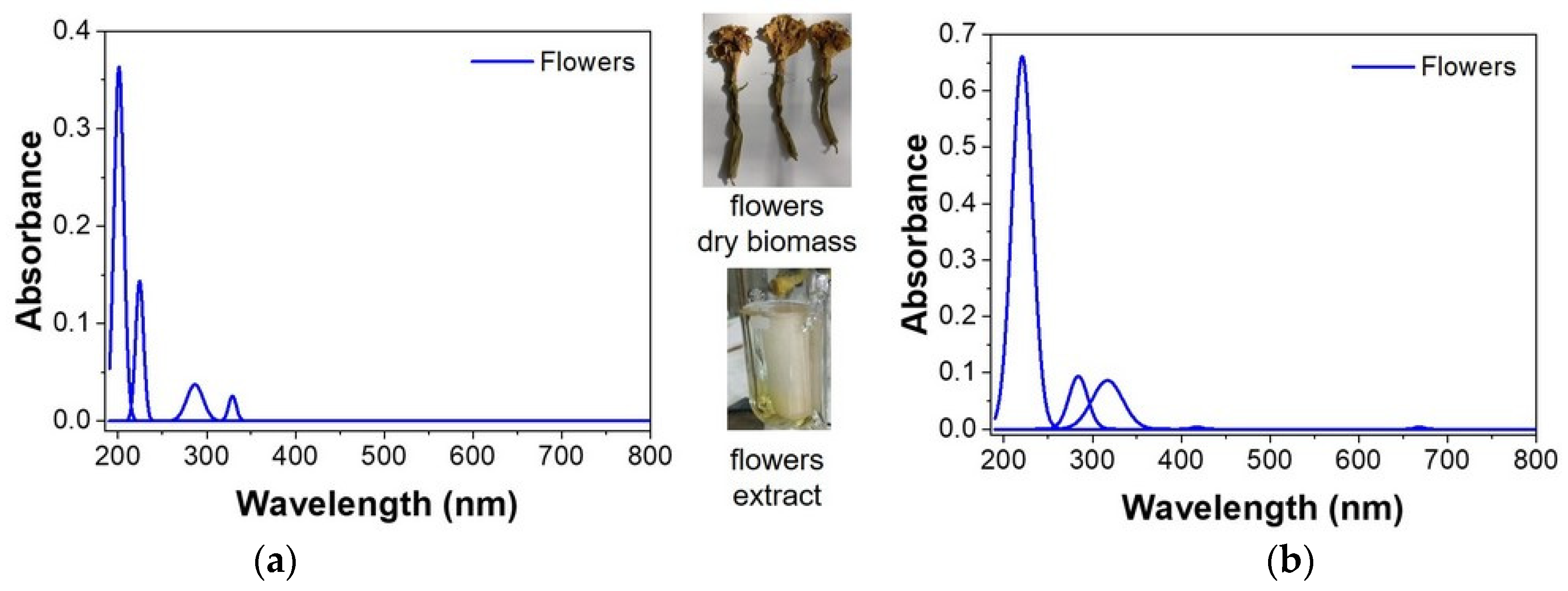 Forests 13 01555 g007