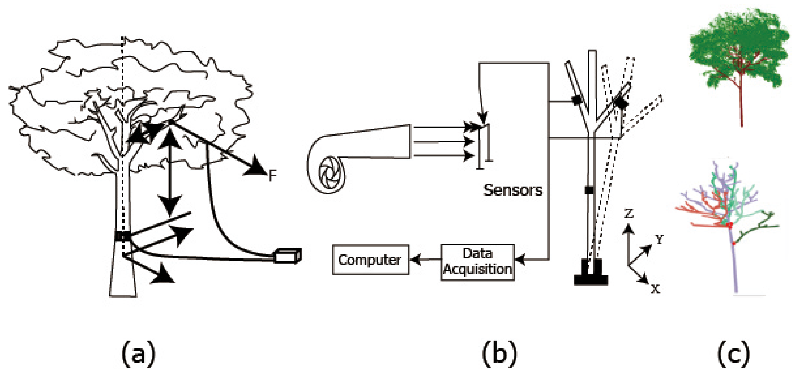 Forests 13 01556 g002 Forests 13 01556 g002