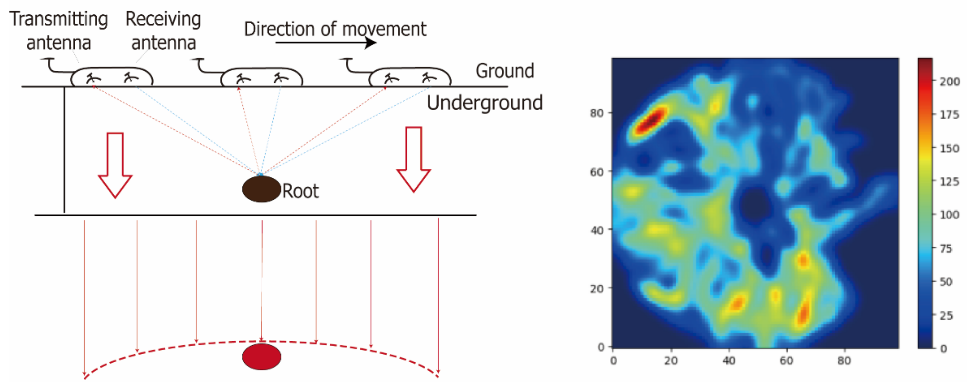 Forests 13 01556 g004 Forests 13 01556 g004