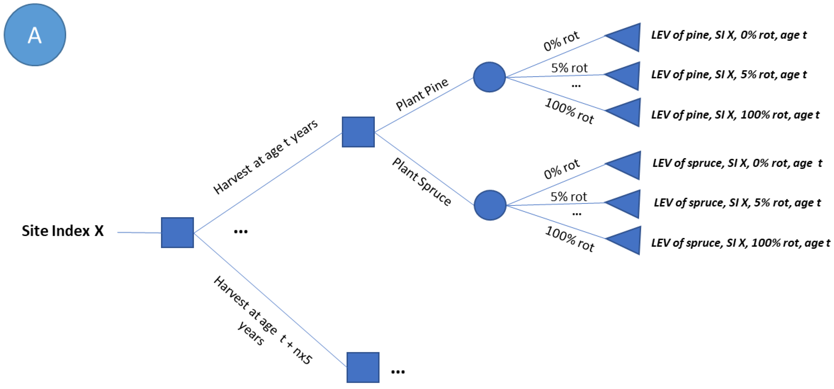 Forests 13 01562 g001a Forests 13 01562 g001a