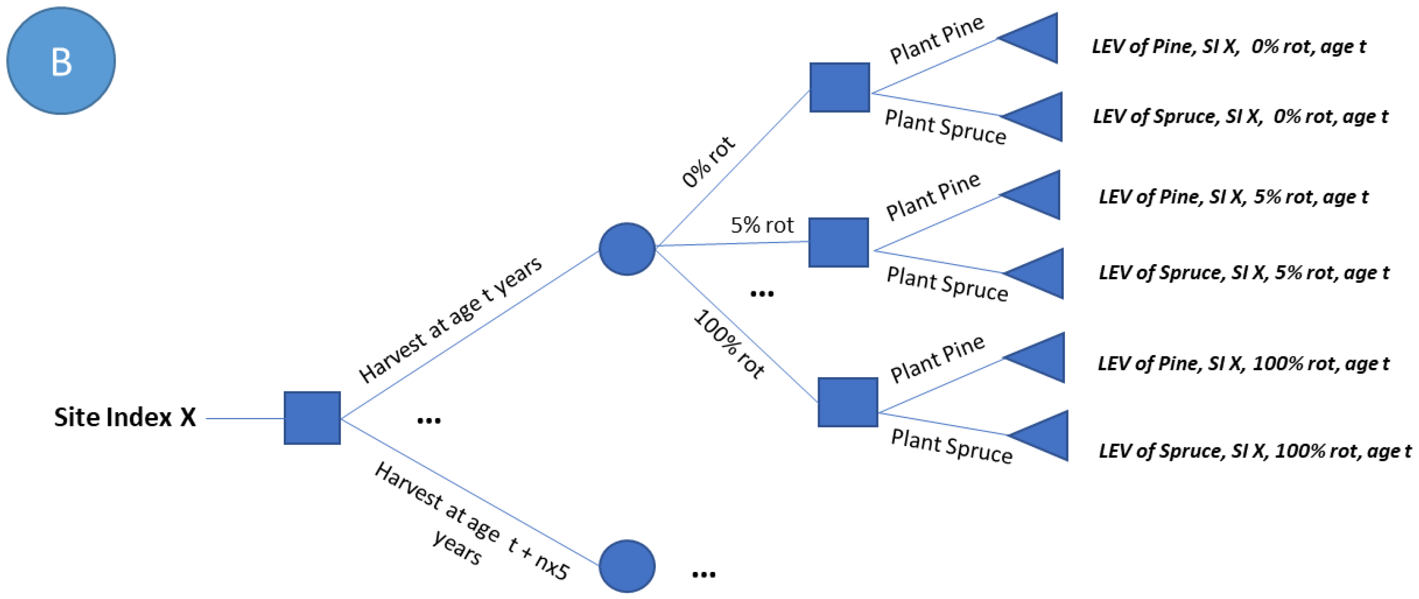 Forests 13 01562 g001b Forests 13 01562 g001b