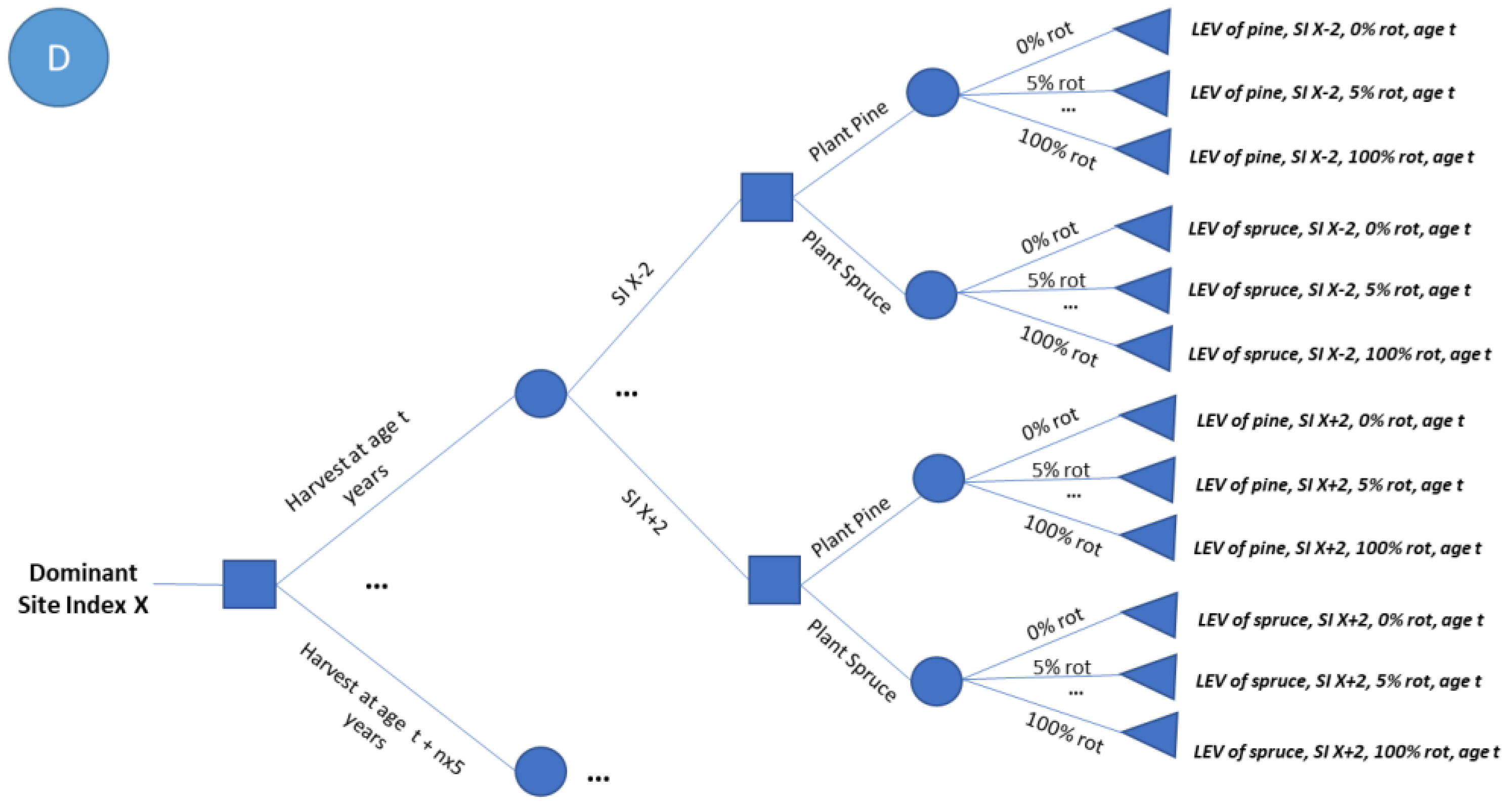 Forests 13 01562 g004 Forests 13 01562 g004