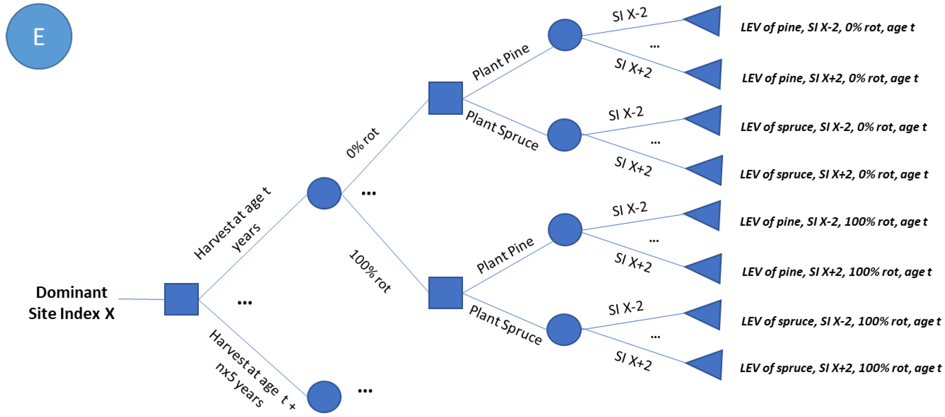 Forests 13 01562 g005 Forests 13 01562 g005