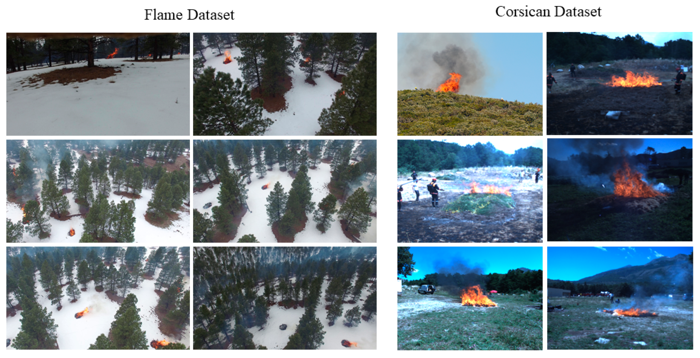 Forests 13 01573 g008 550