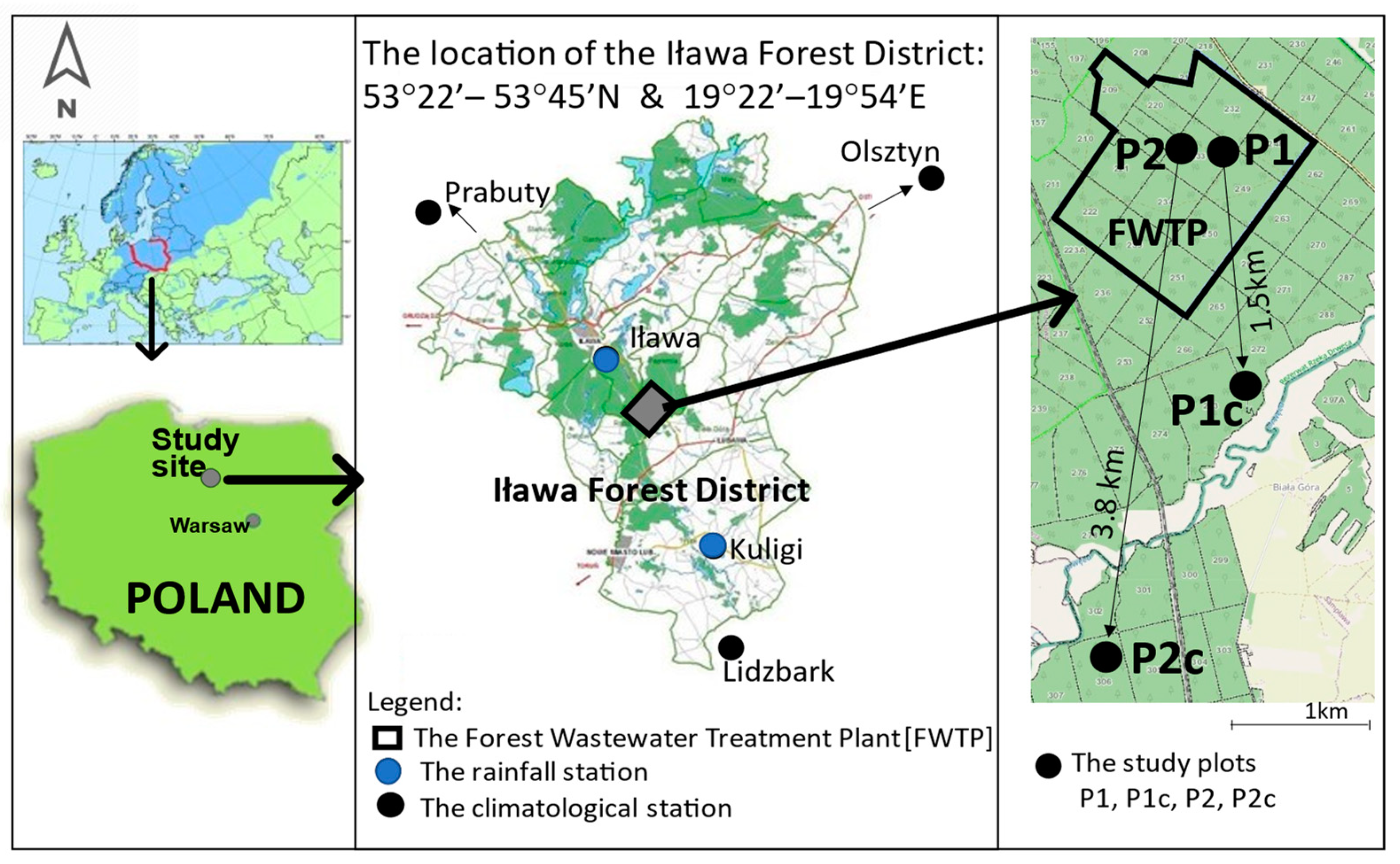 Forests 13 01575 g001