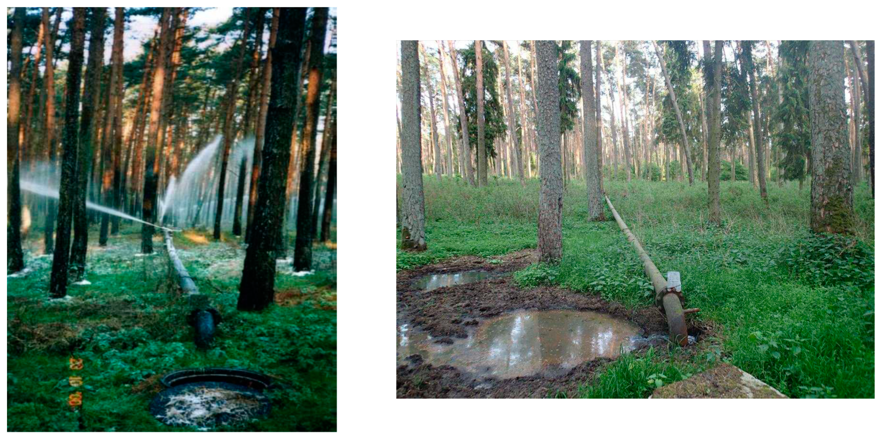 Forests 13 01575 g003