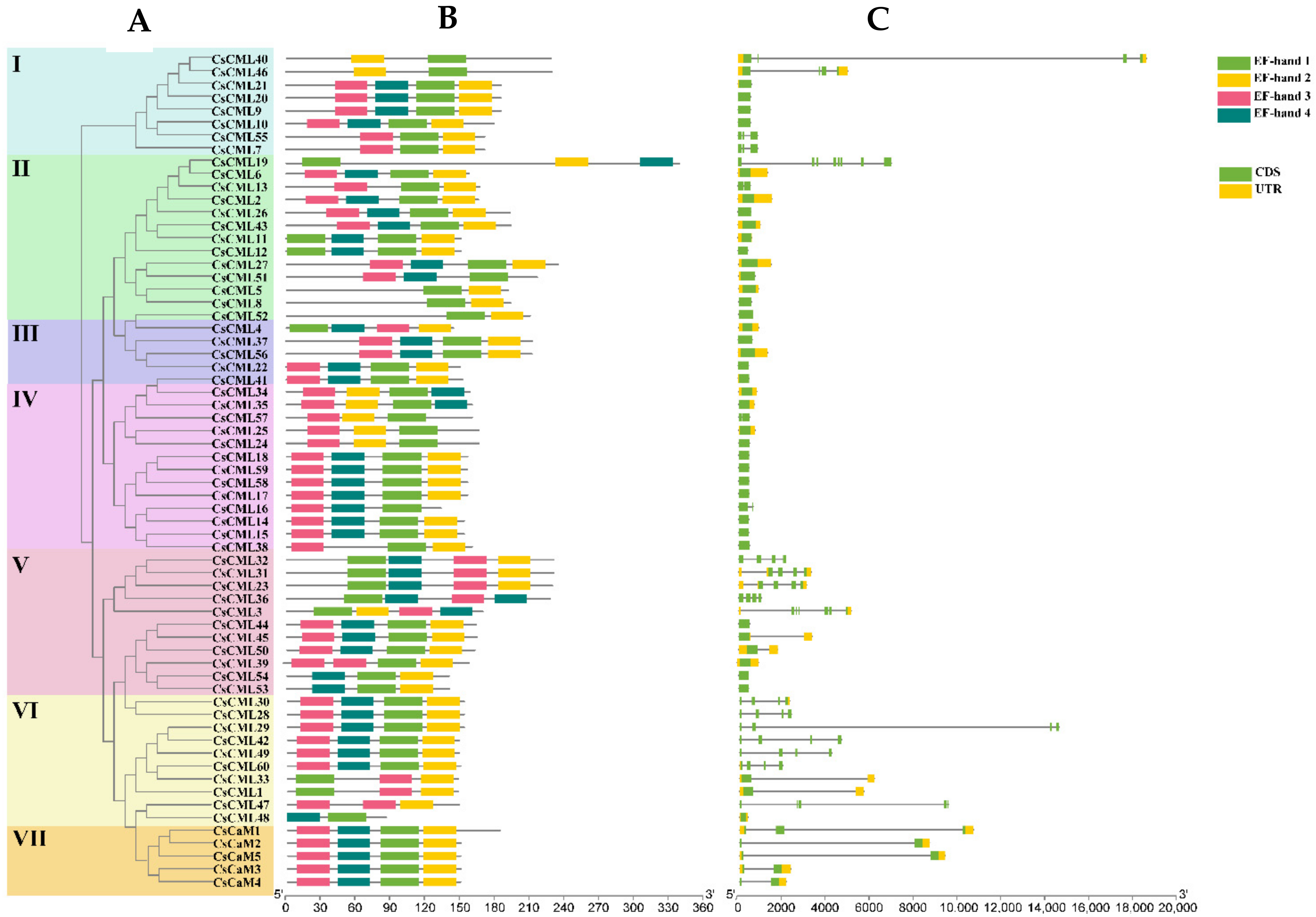 Forests 13 01578 g001 Forests 13 01578 g001