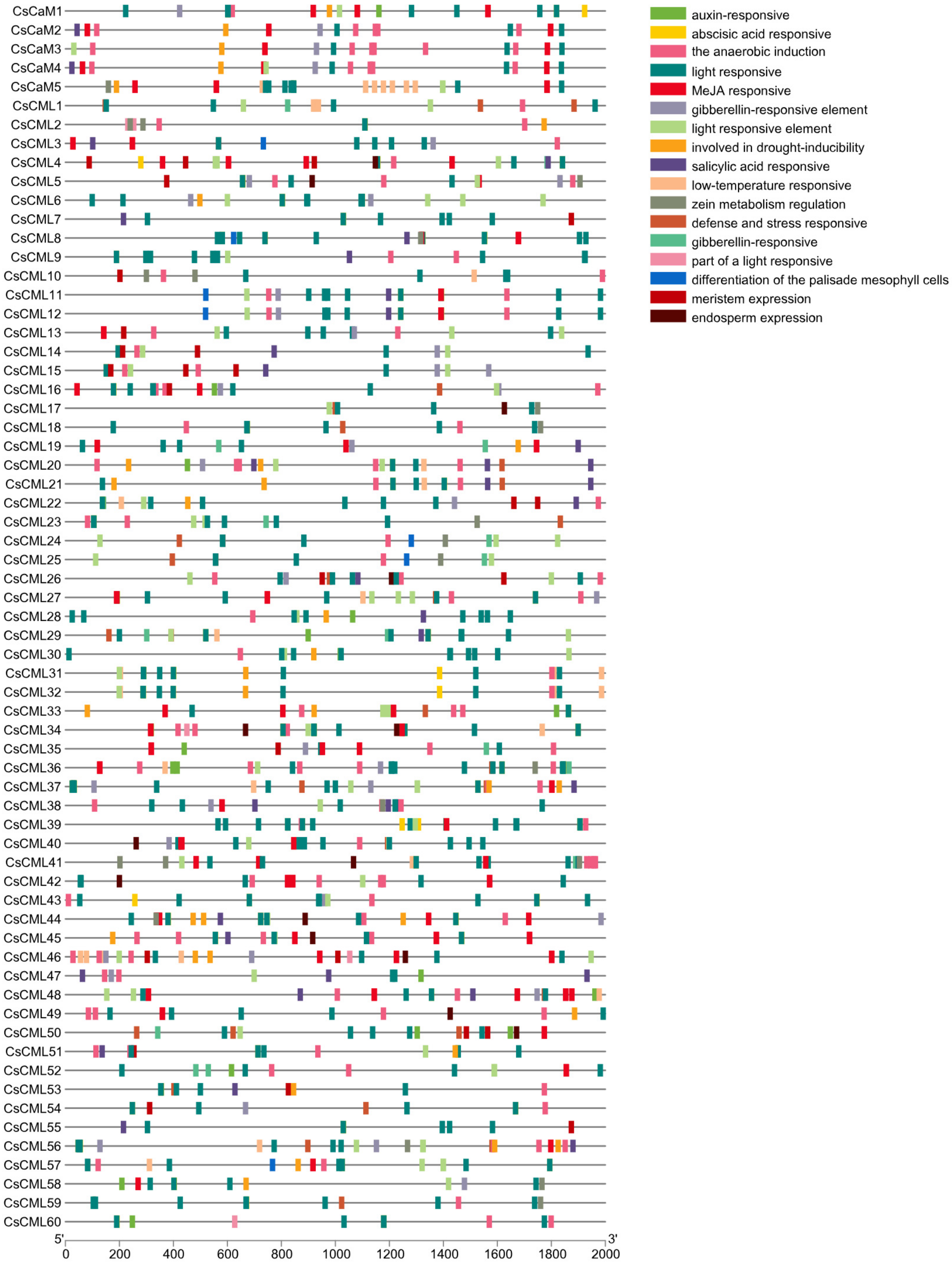 Forests 13 01578 g002 Forests 13 01578 g002