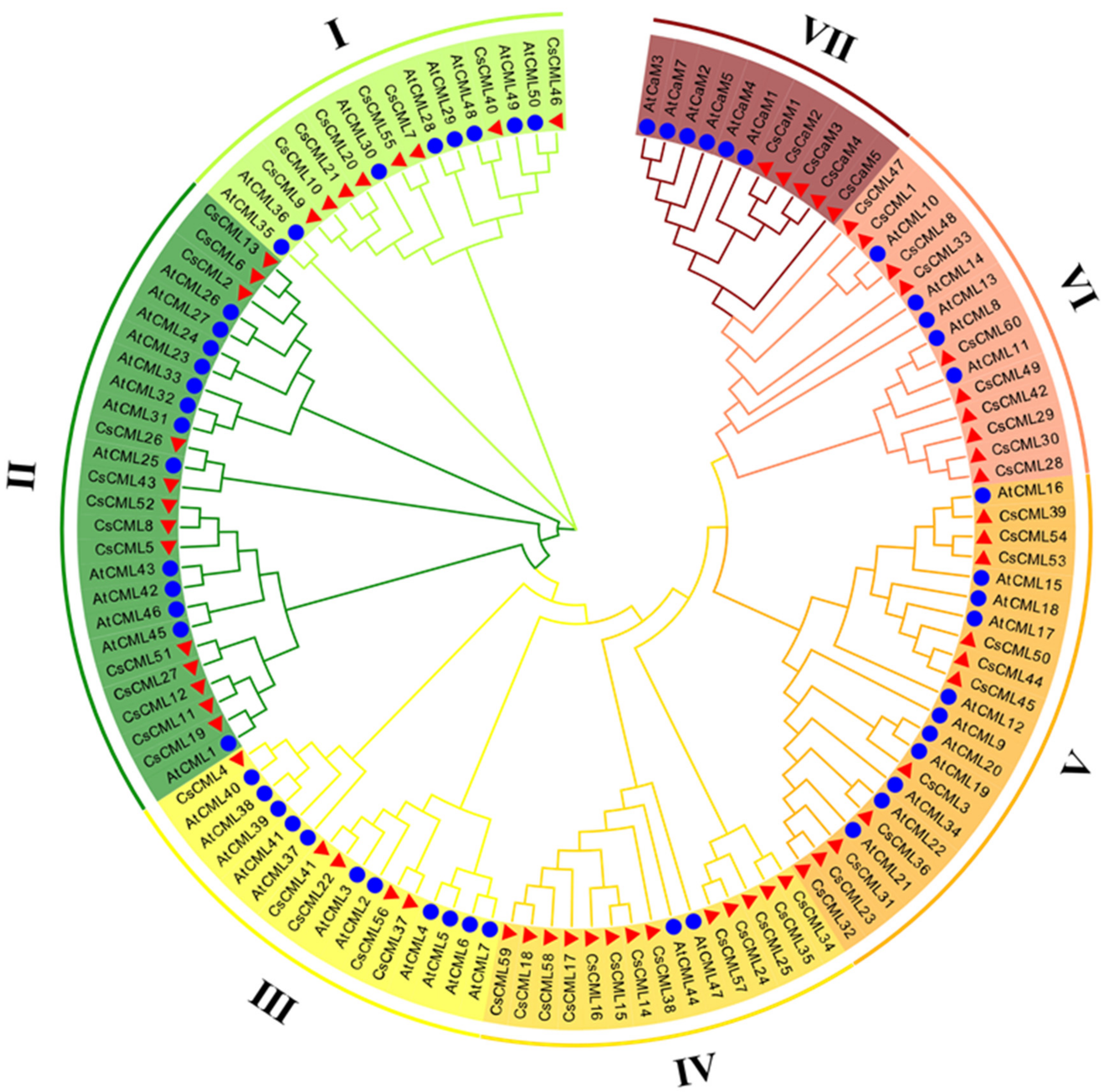 Forests 13 01578 g003 Forests 13 01578 g003