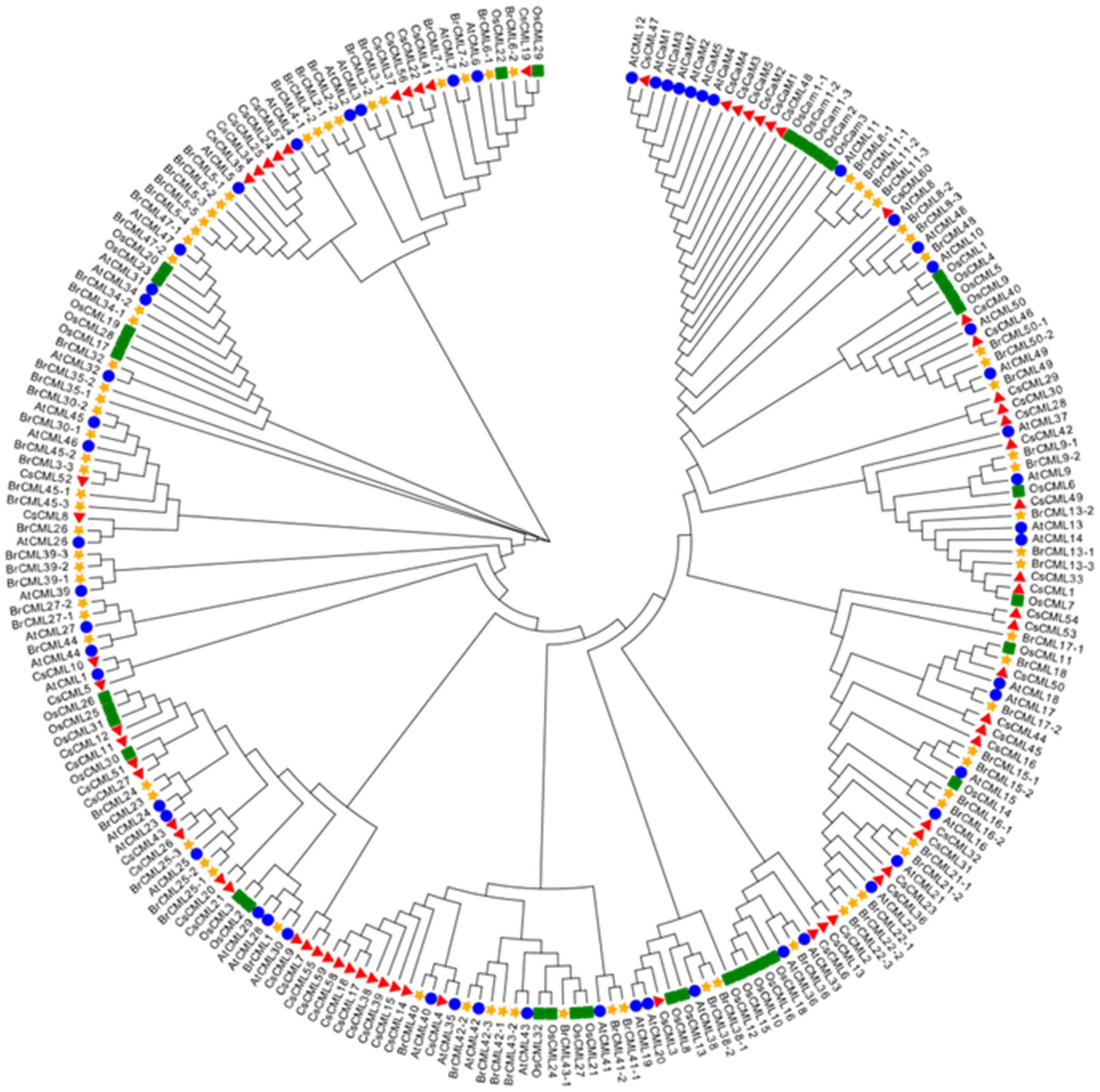 Forests 13 01578 g004 Forests 13 01578 g004