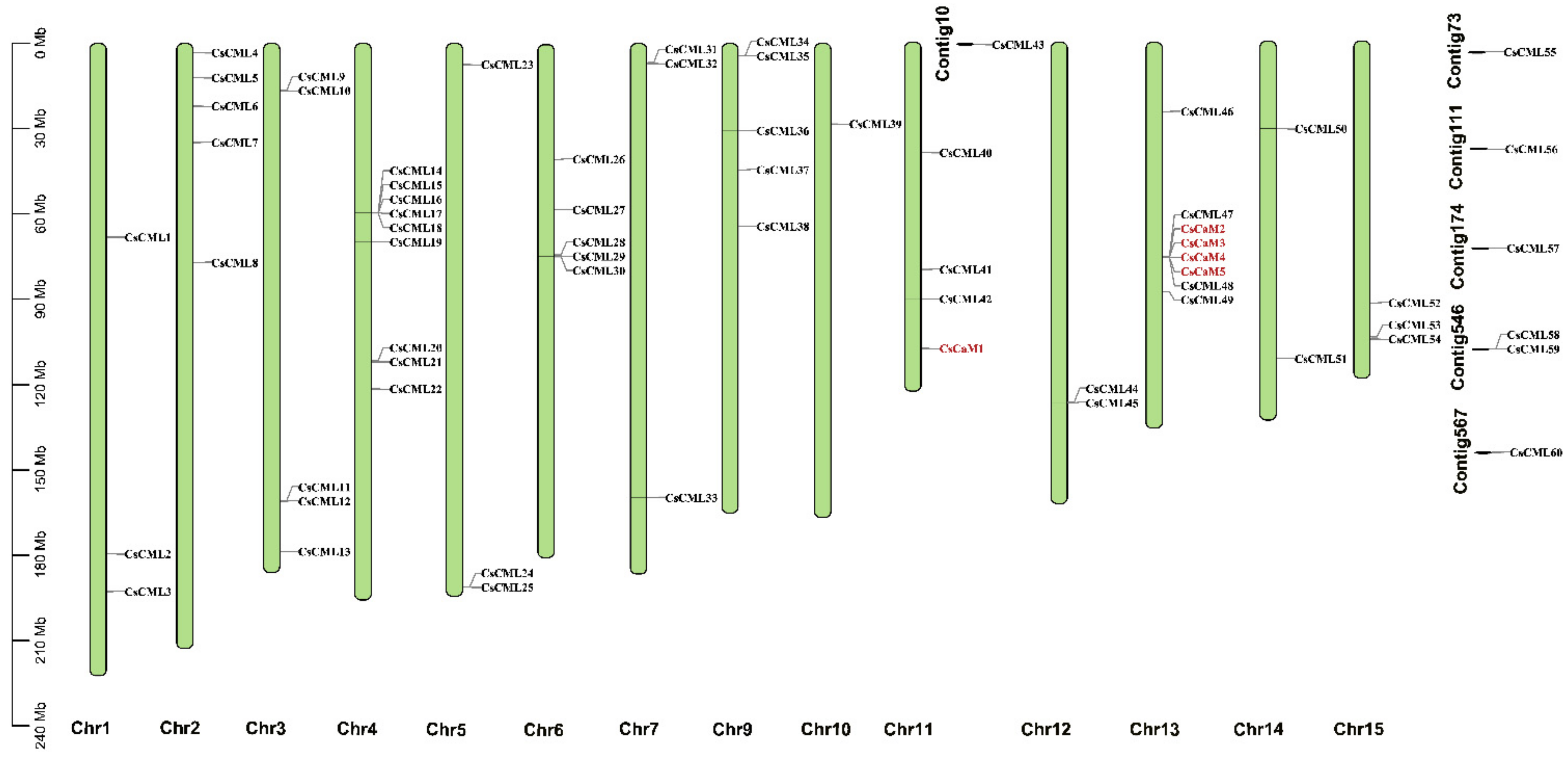 Forests 13 01578 g005 Forests 13 01578 g005
