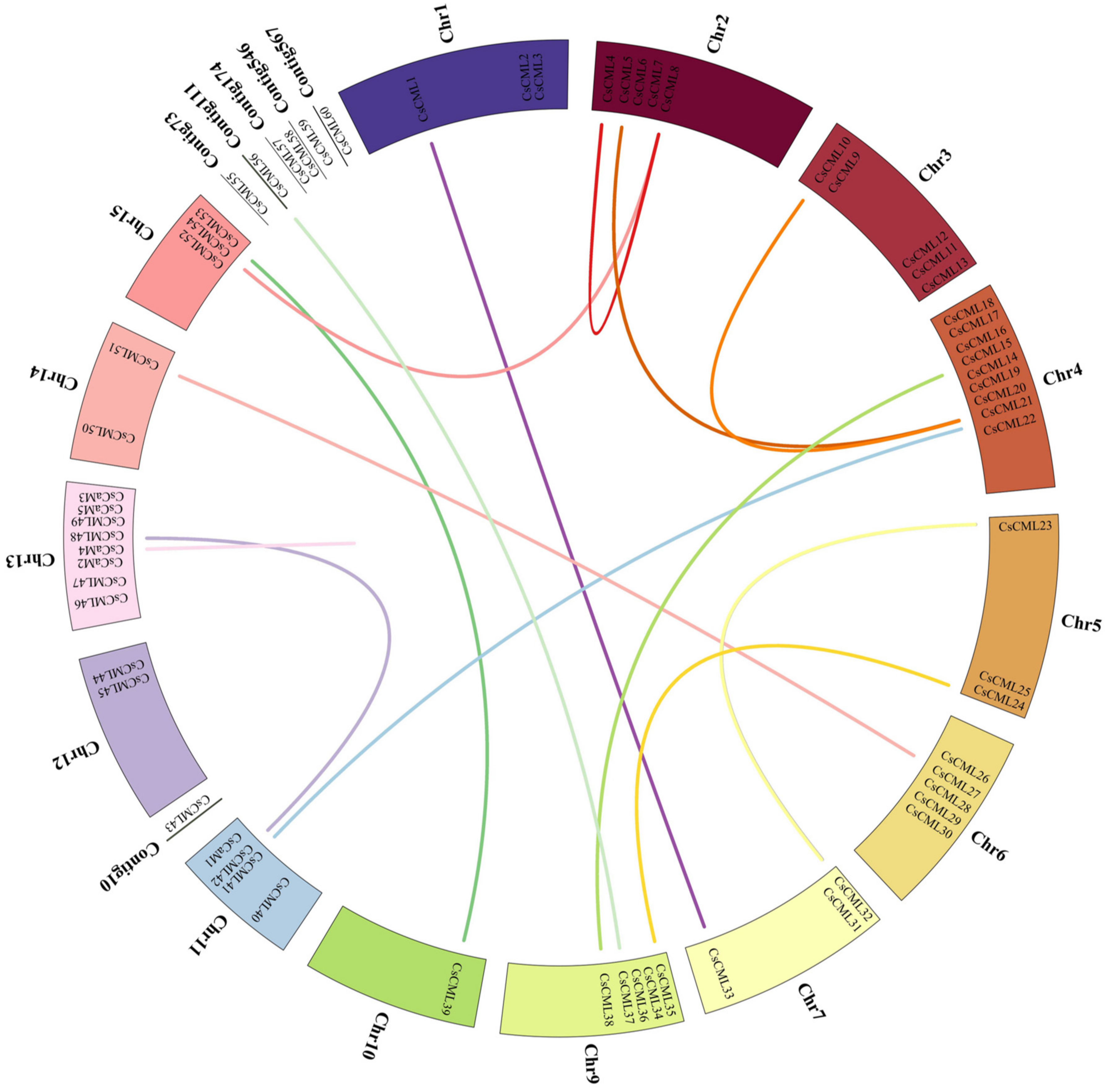 Forests 13 01578 g006 Forests 13 01578 g006
