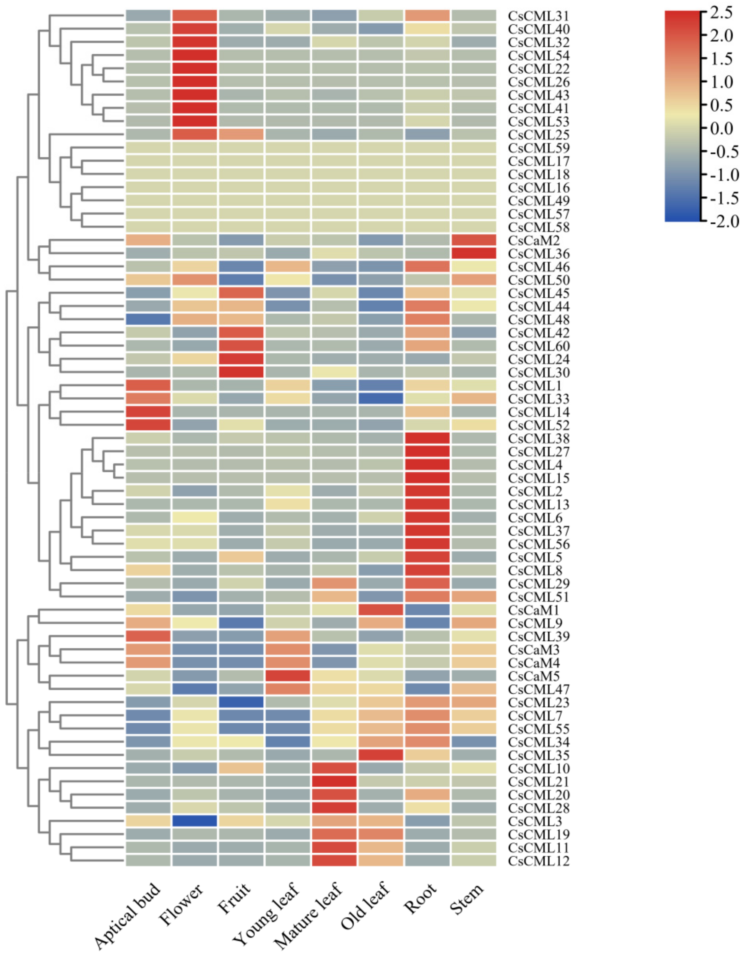 Forests 13 01578 g007 Forests 13 01578 g007