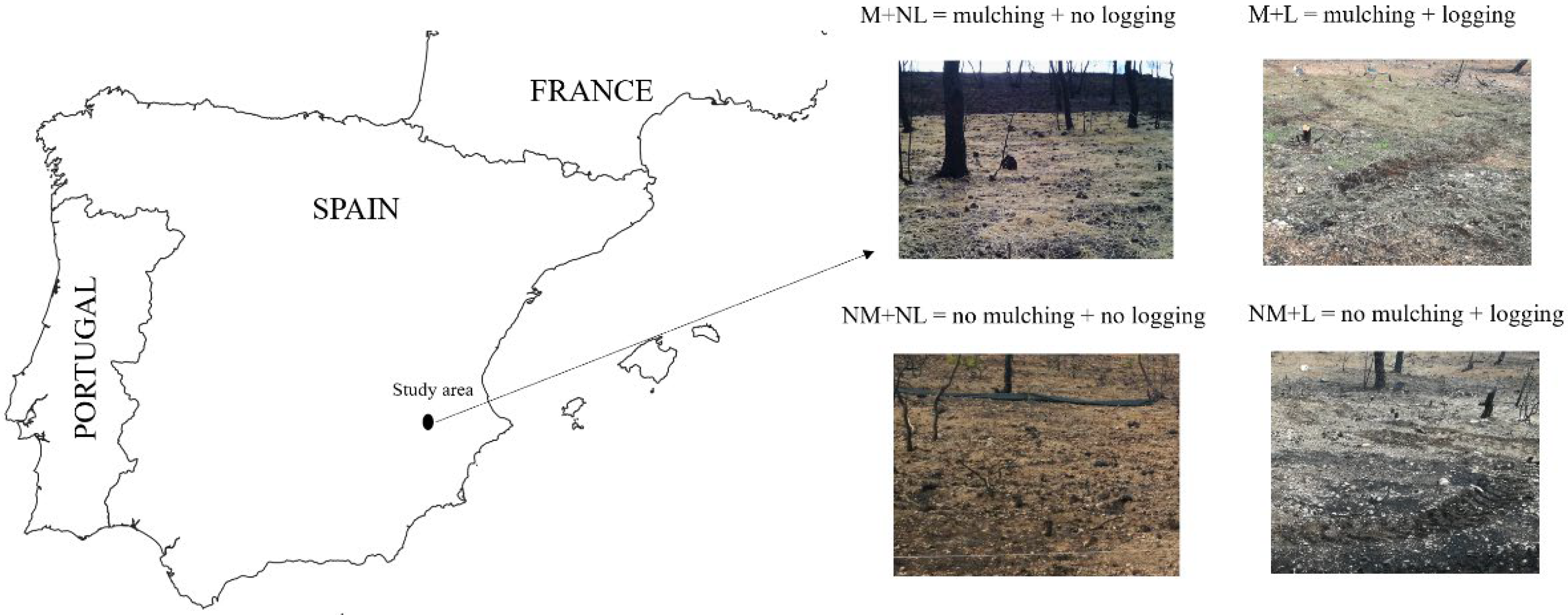 Forests 13 01580 g001