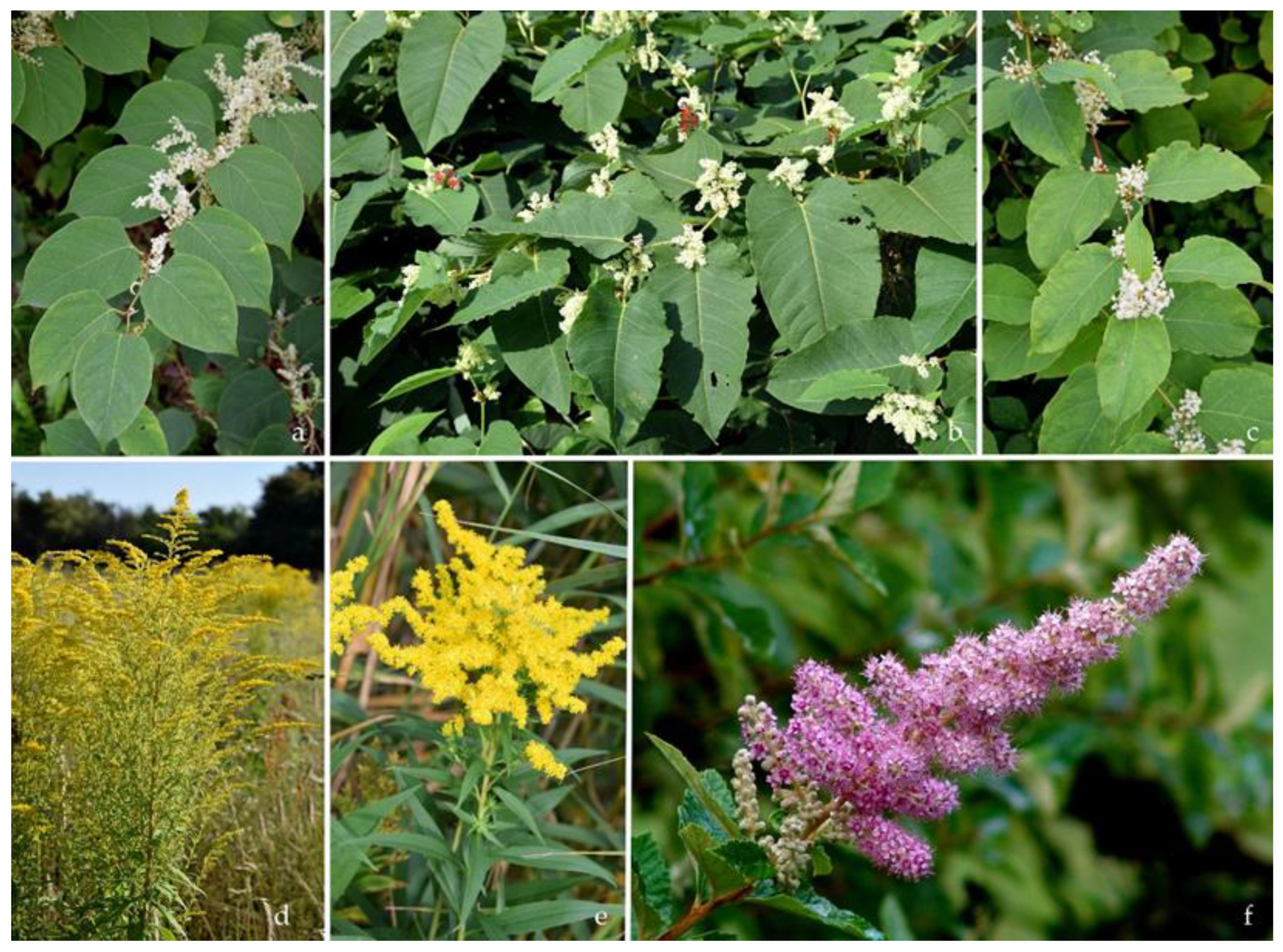 Forests 13 01582 g002