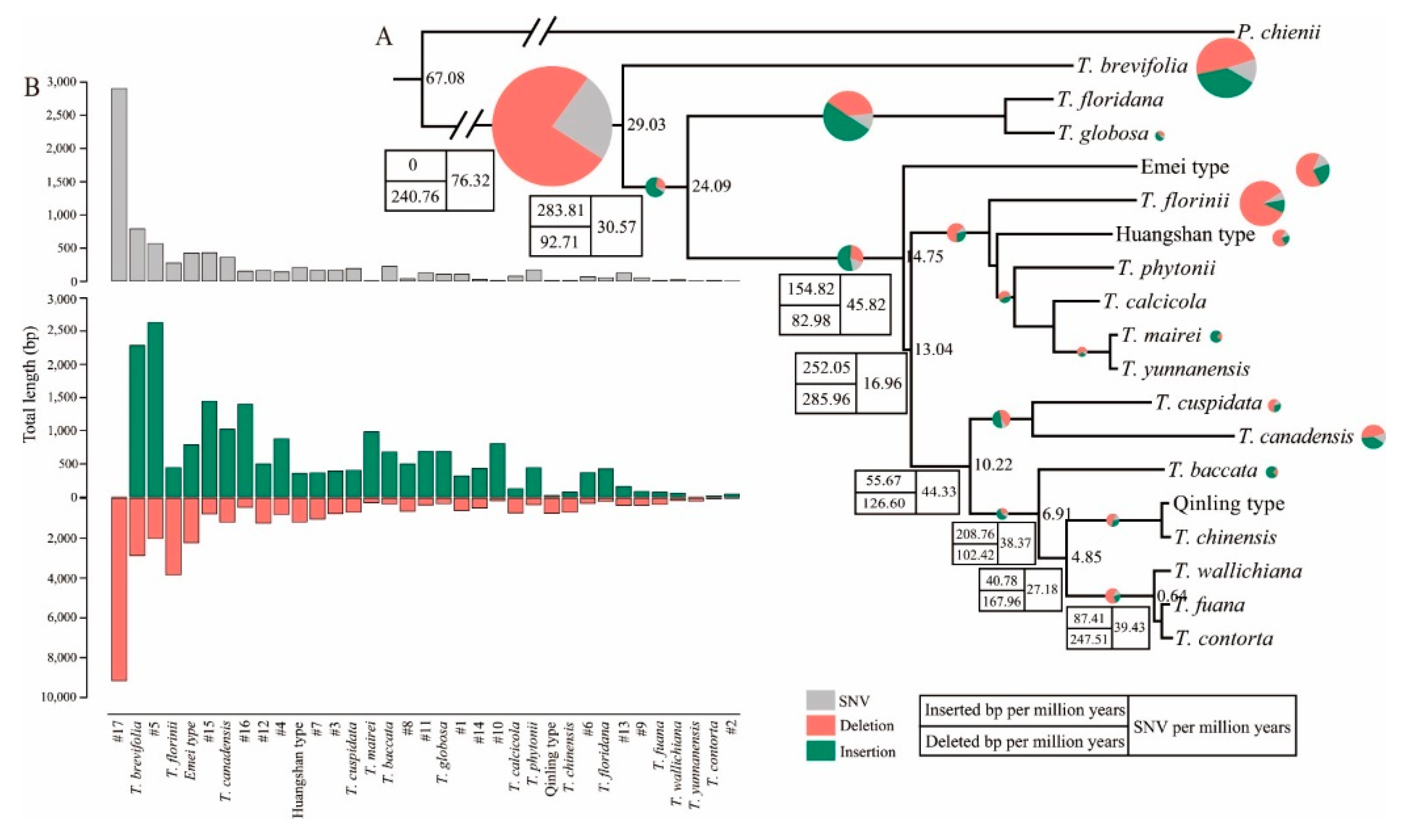 Forests 13 01590 g003 Forests 13 01590 g003