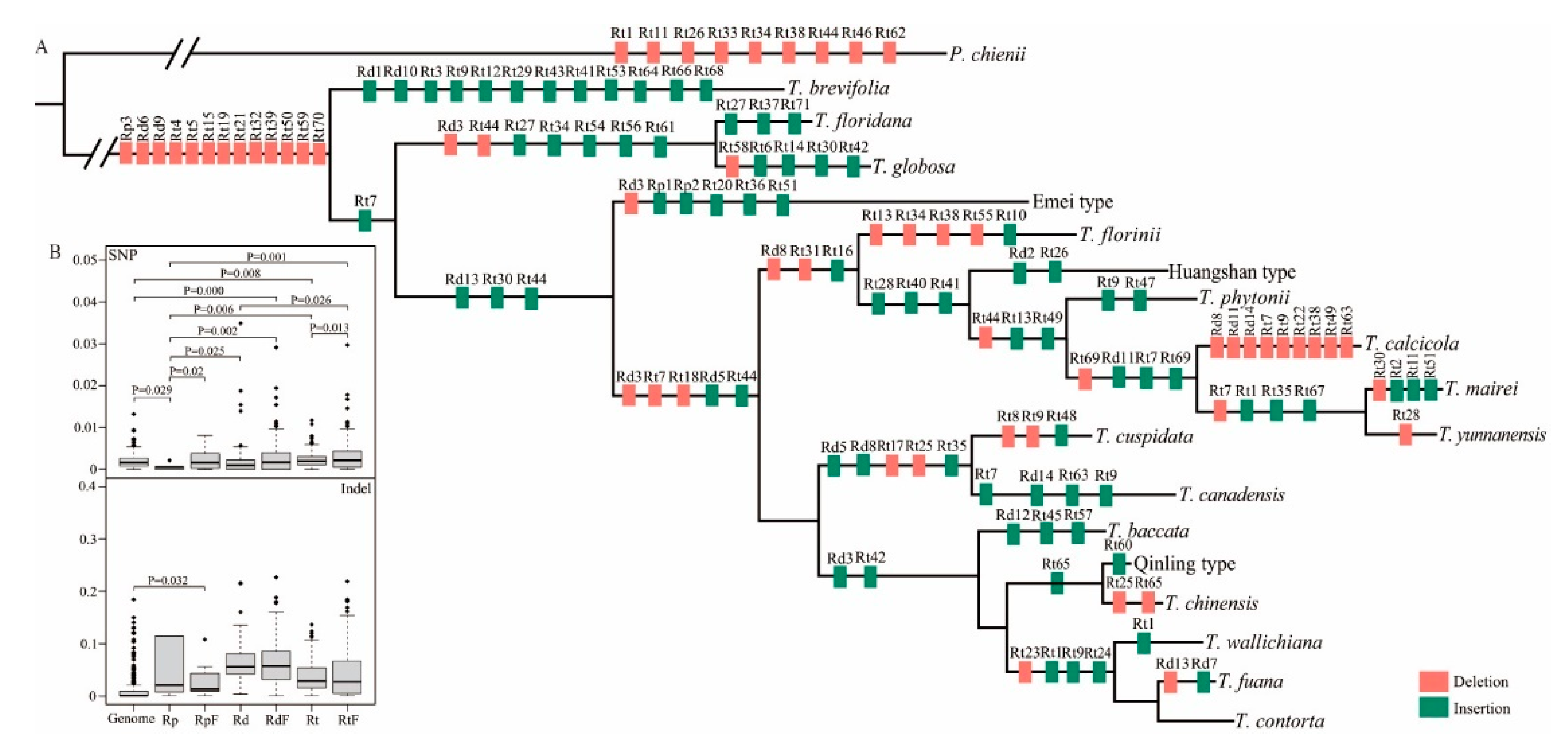 Forests 13 01590 g004 Forests 13 01590 g004