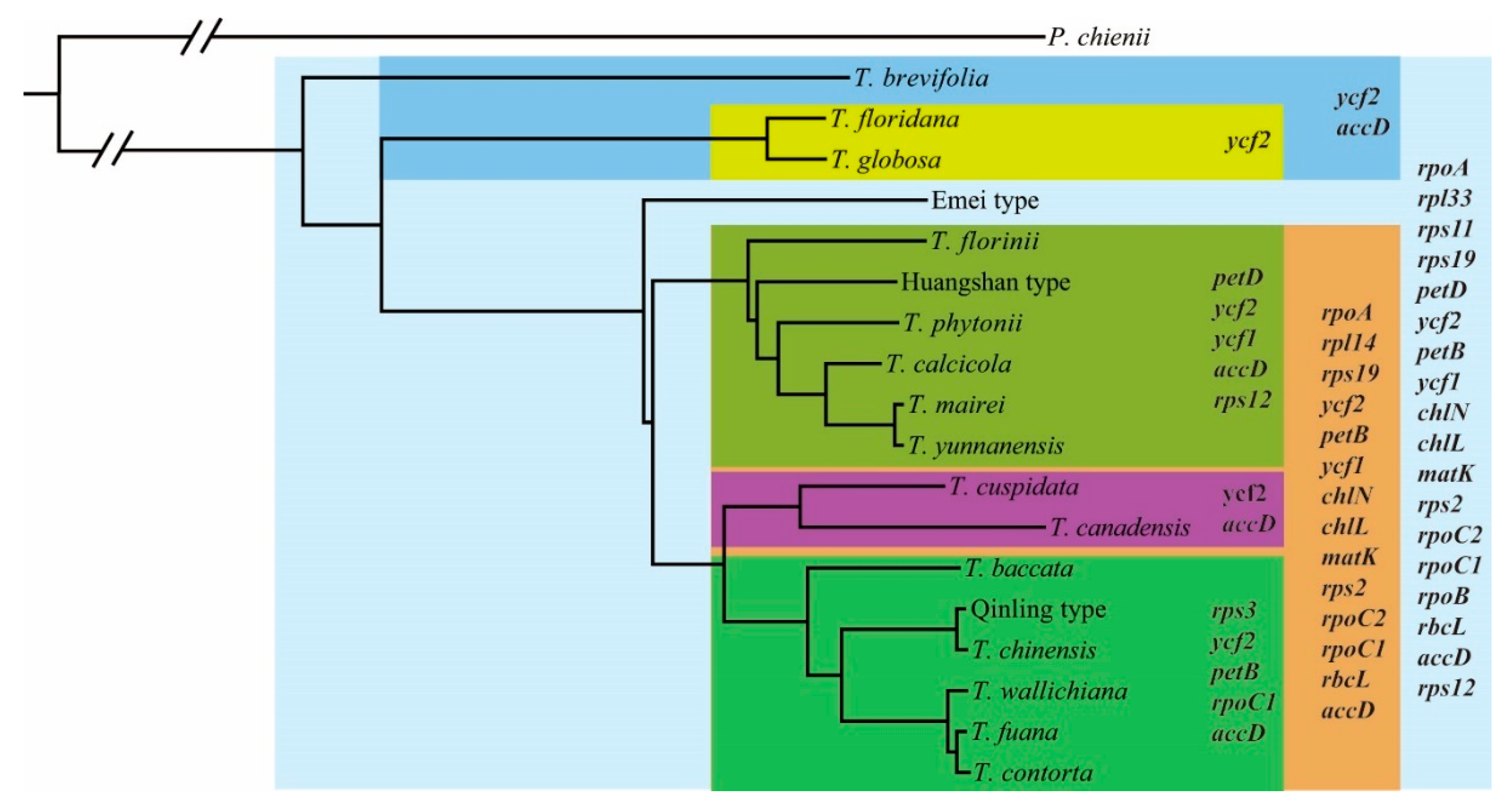 Forests 13 01590 g005 Forests 13 01590 g005