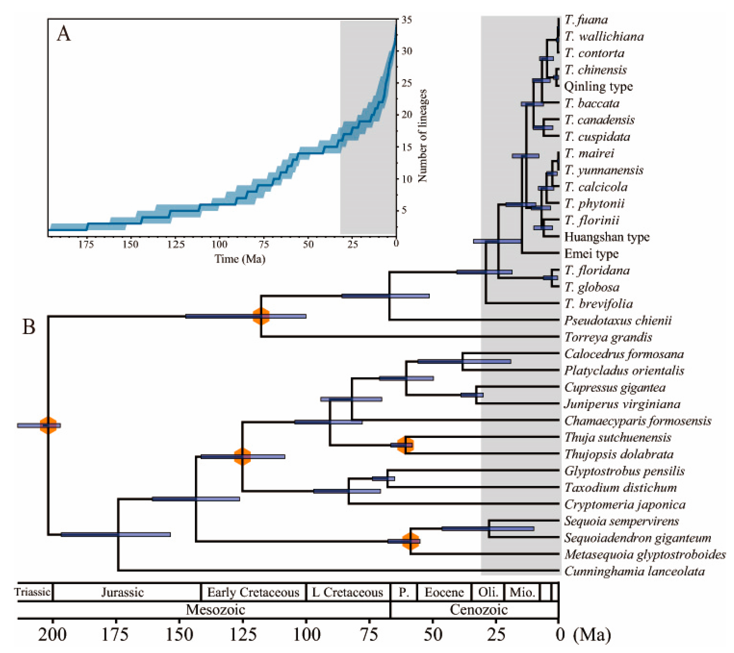 Forests 13 01590 g006 Forests 13 01590 g006
