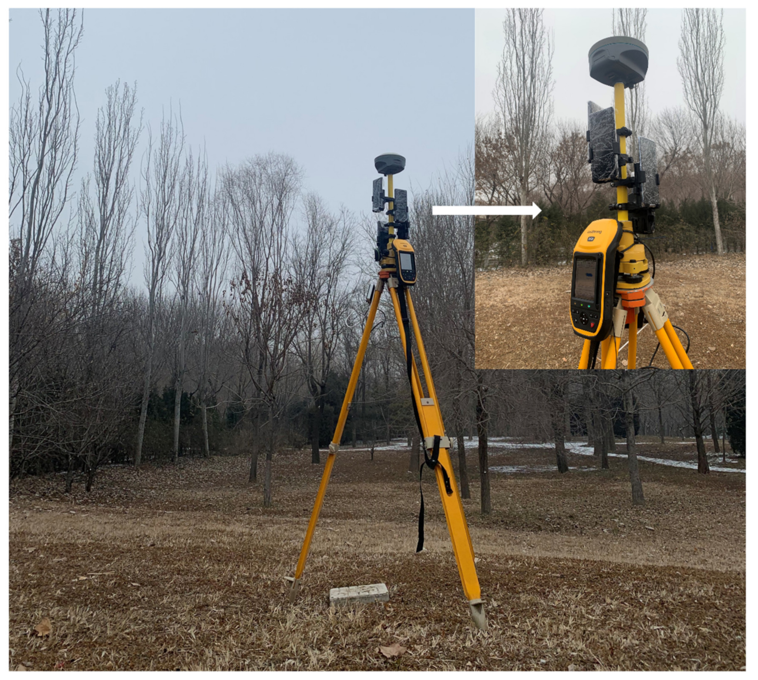 Forests 13 01591 g001 Forests 13 01591 g001