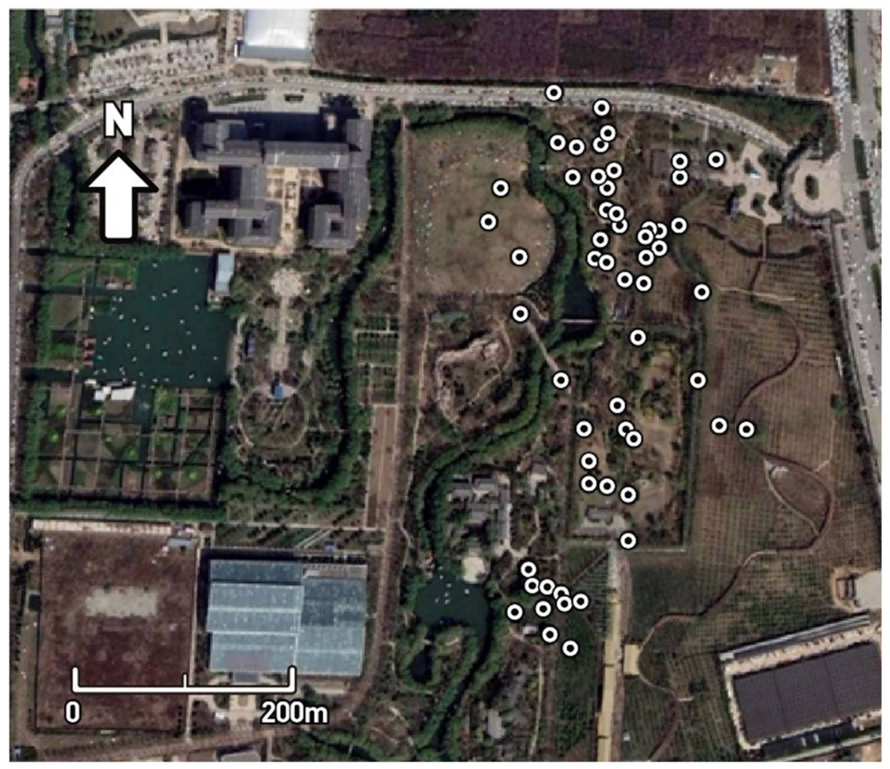 Forests 13 01591 g002 Forests 13 01591 g002