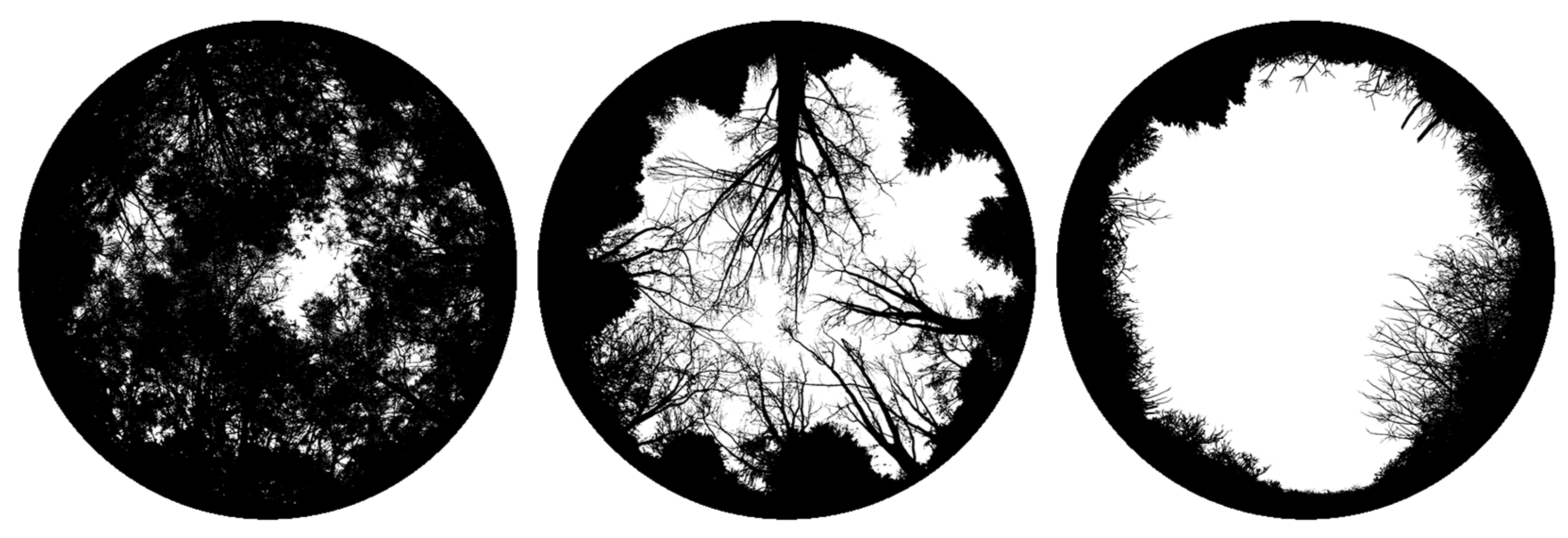 Forests 13 01591 g003 Forests 13 01591 g003