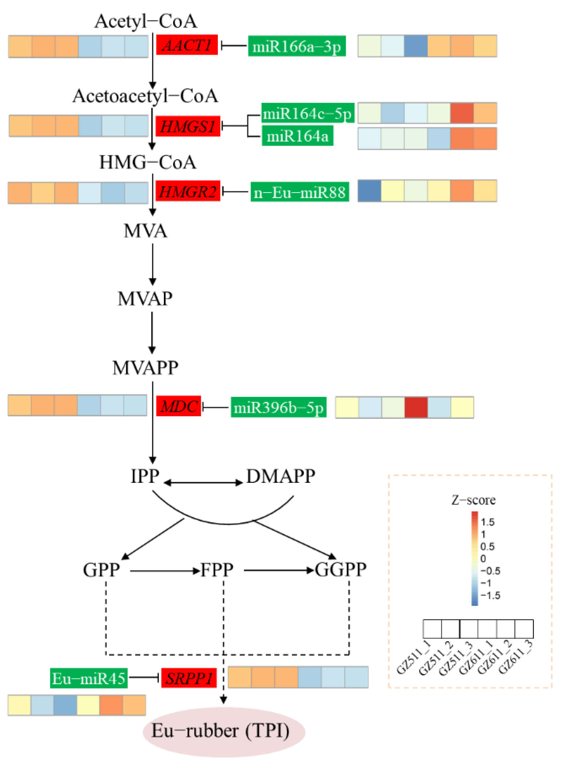 Forests 13 01601 g005 Forests 13 01601 g005